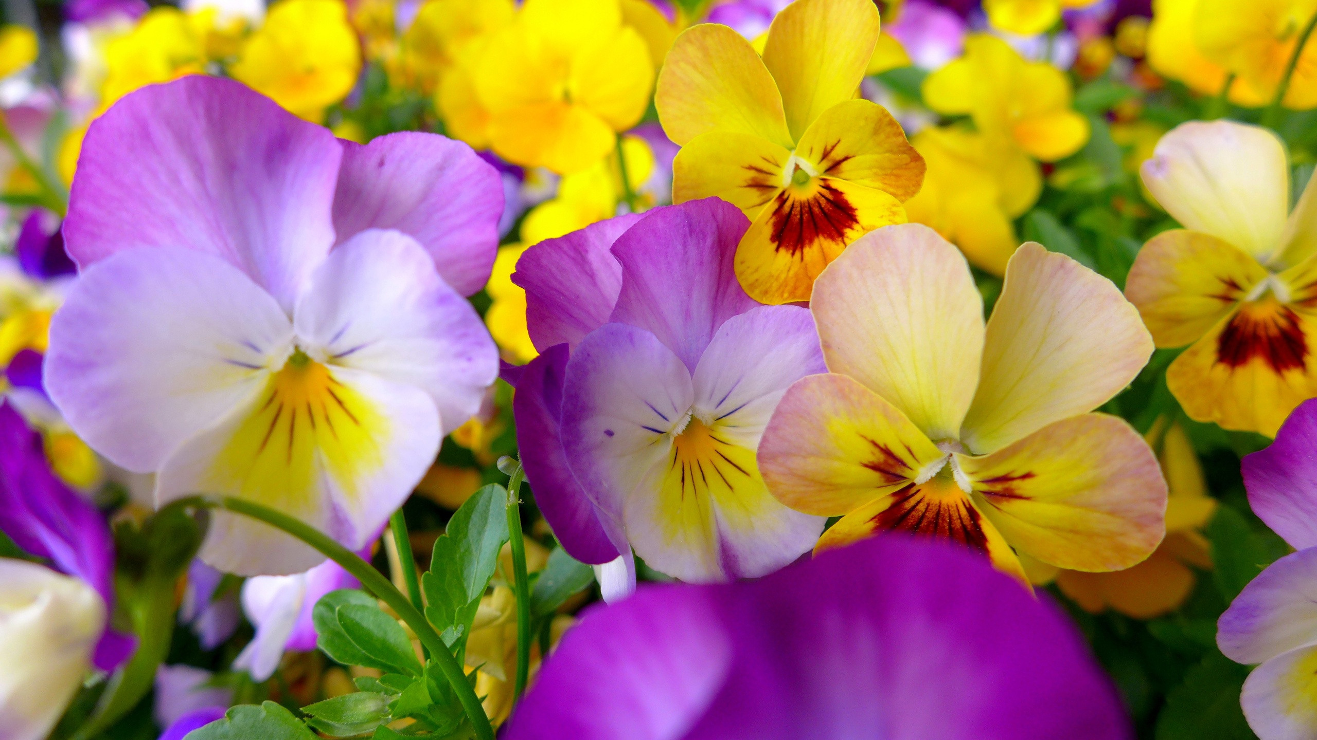 Сколько это стоит и почему. Photo-gerz.ru