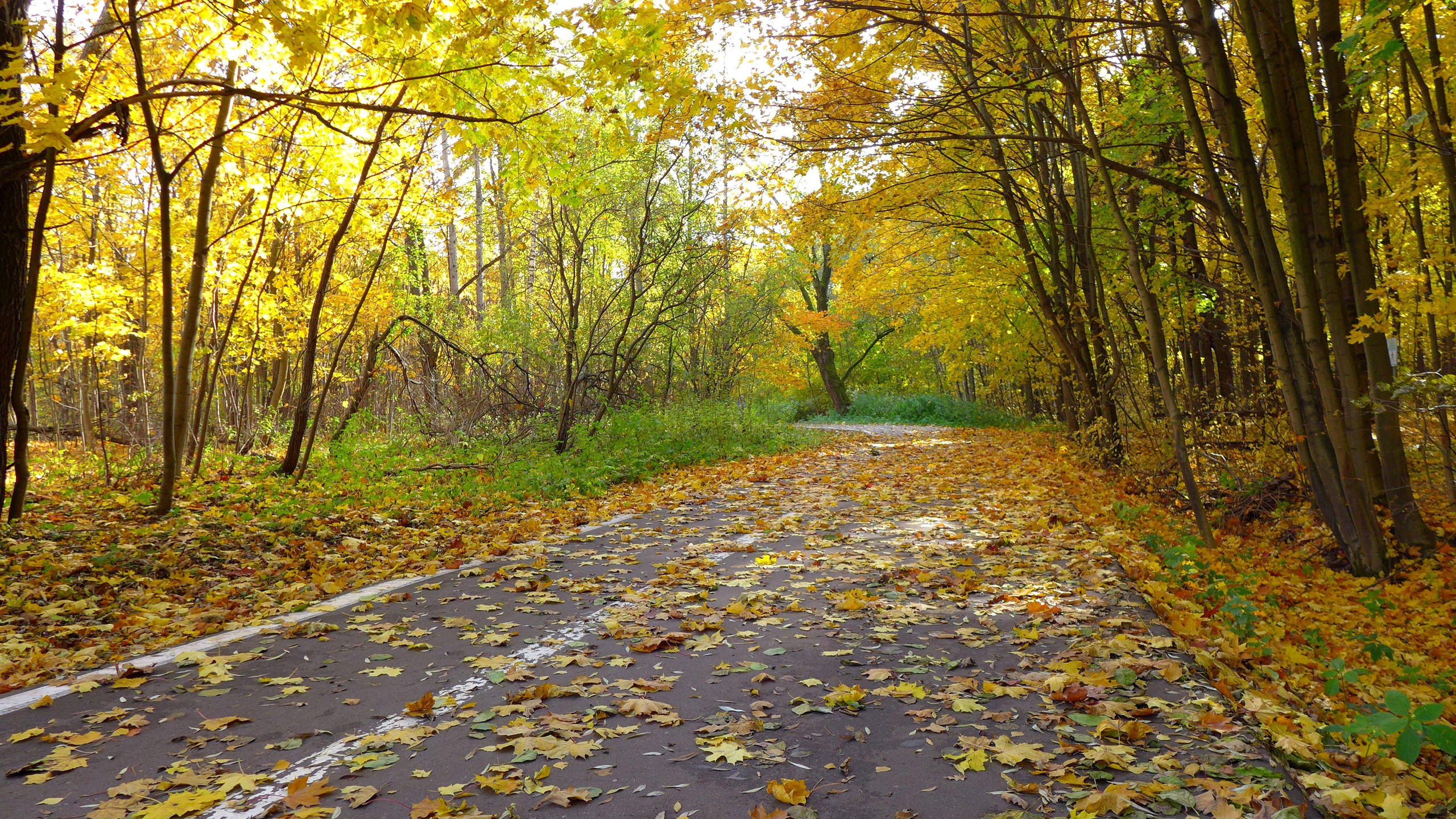 Фотосессия на природе. Измайловский парк. Совсем скоро. Photo-gerz.ru