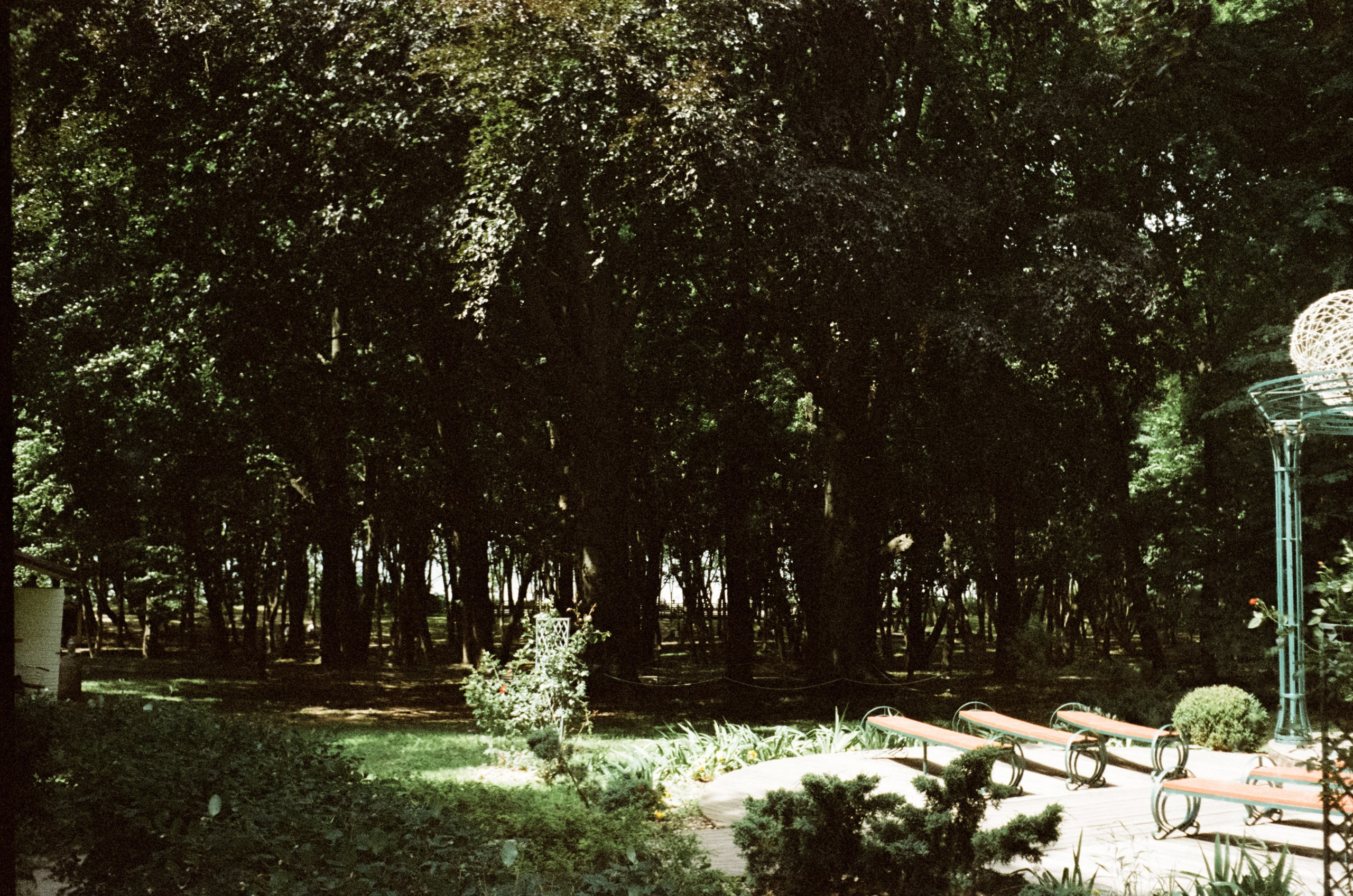 29 и 30 июня / Светлогорск и Янтарный / Minox 35 GT (2)