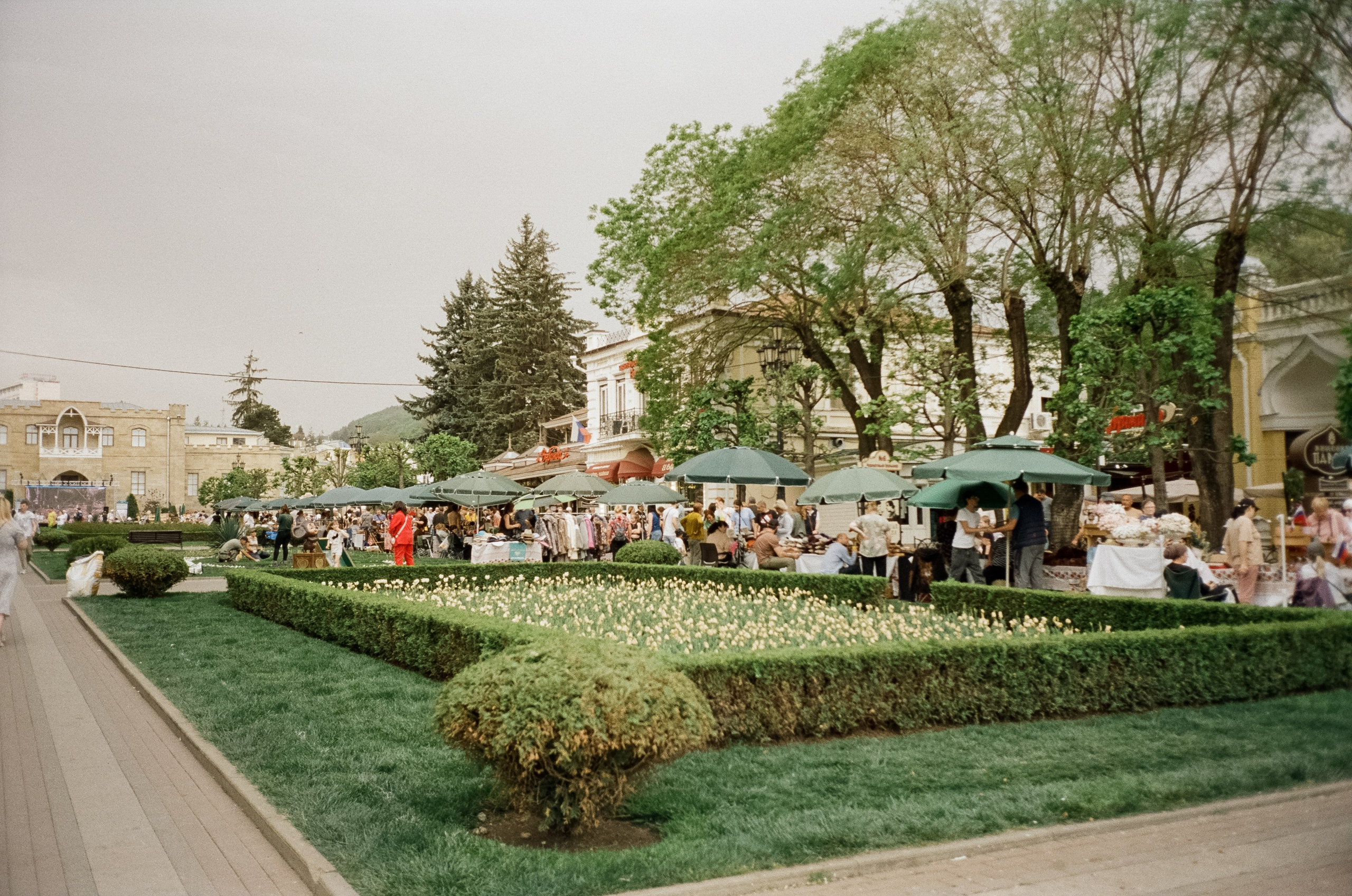 Прогулка по Курортному проспекту и Чебурашка. Кисловодск. Фотограф-документалист Мария Осокина