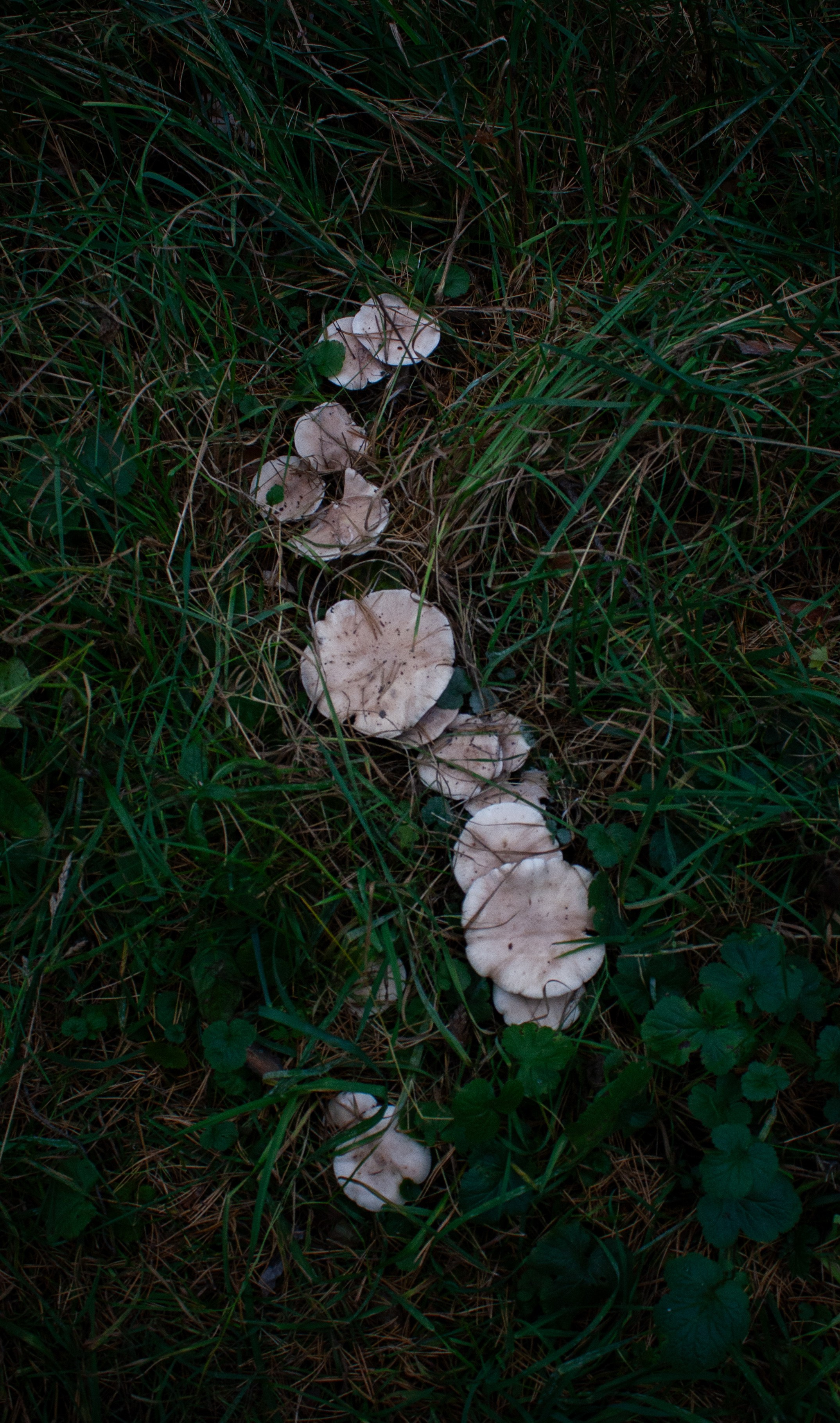 Портретный фотограф в Москве Кирилл Удалов