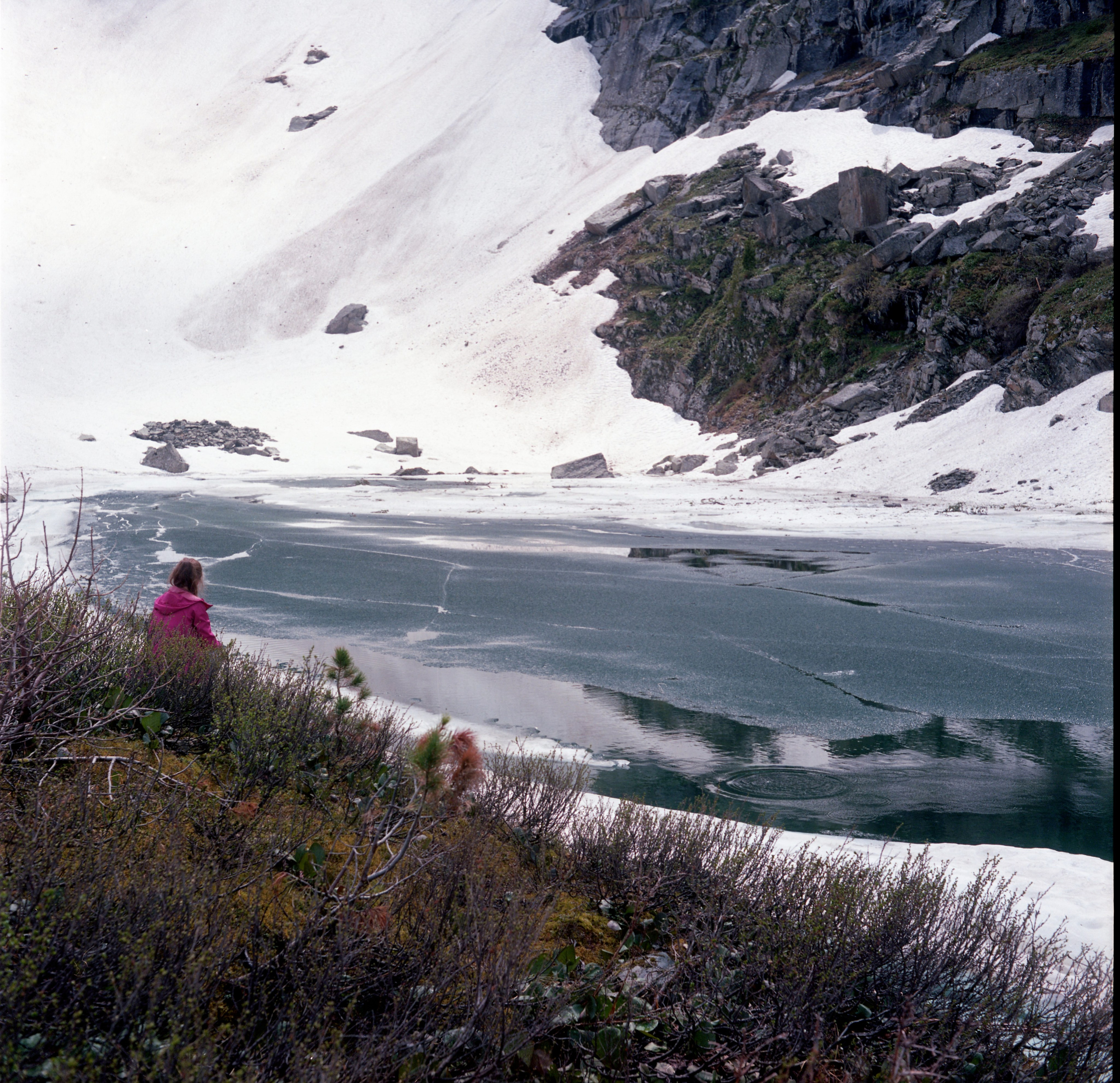 Алтай, Россия. Elena Nikitina. Photo Artist. Film photography. Prints