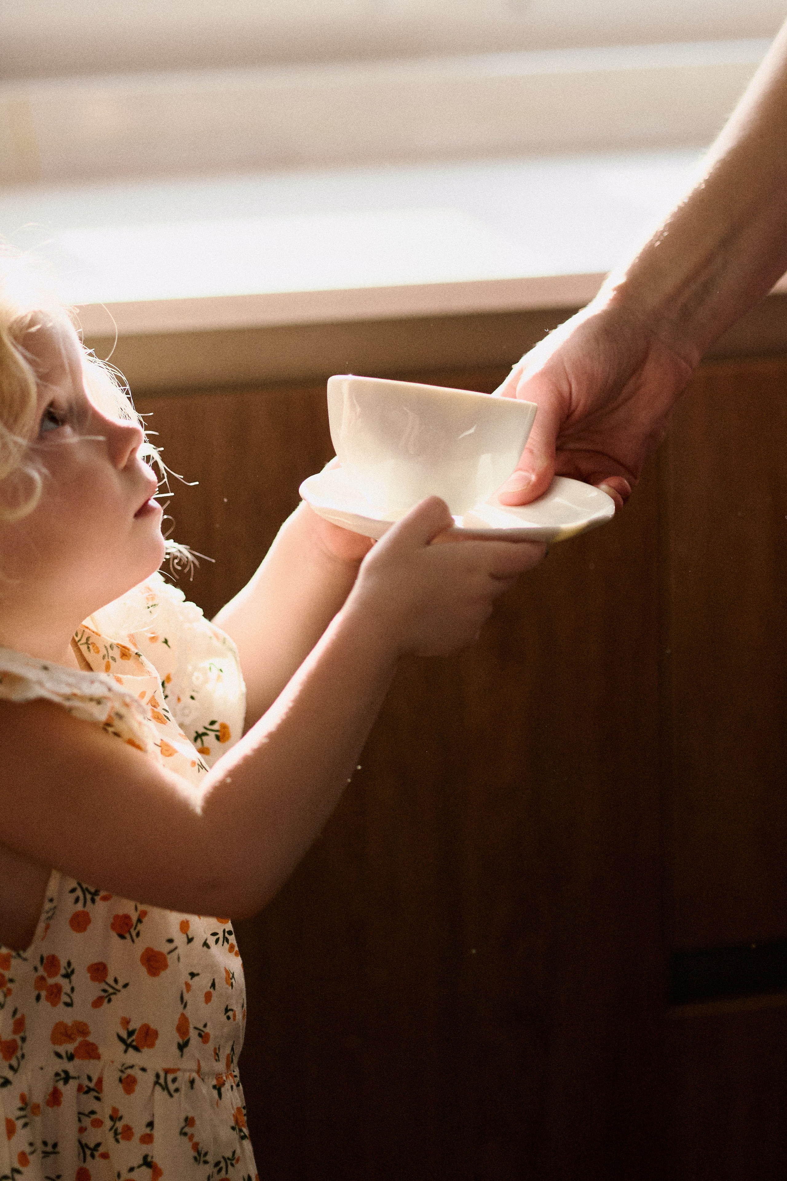 Портфолио. Edomaphoto.ru