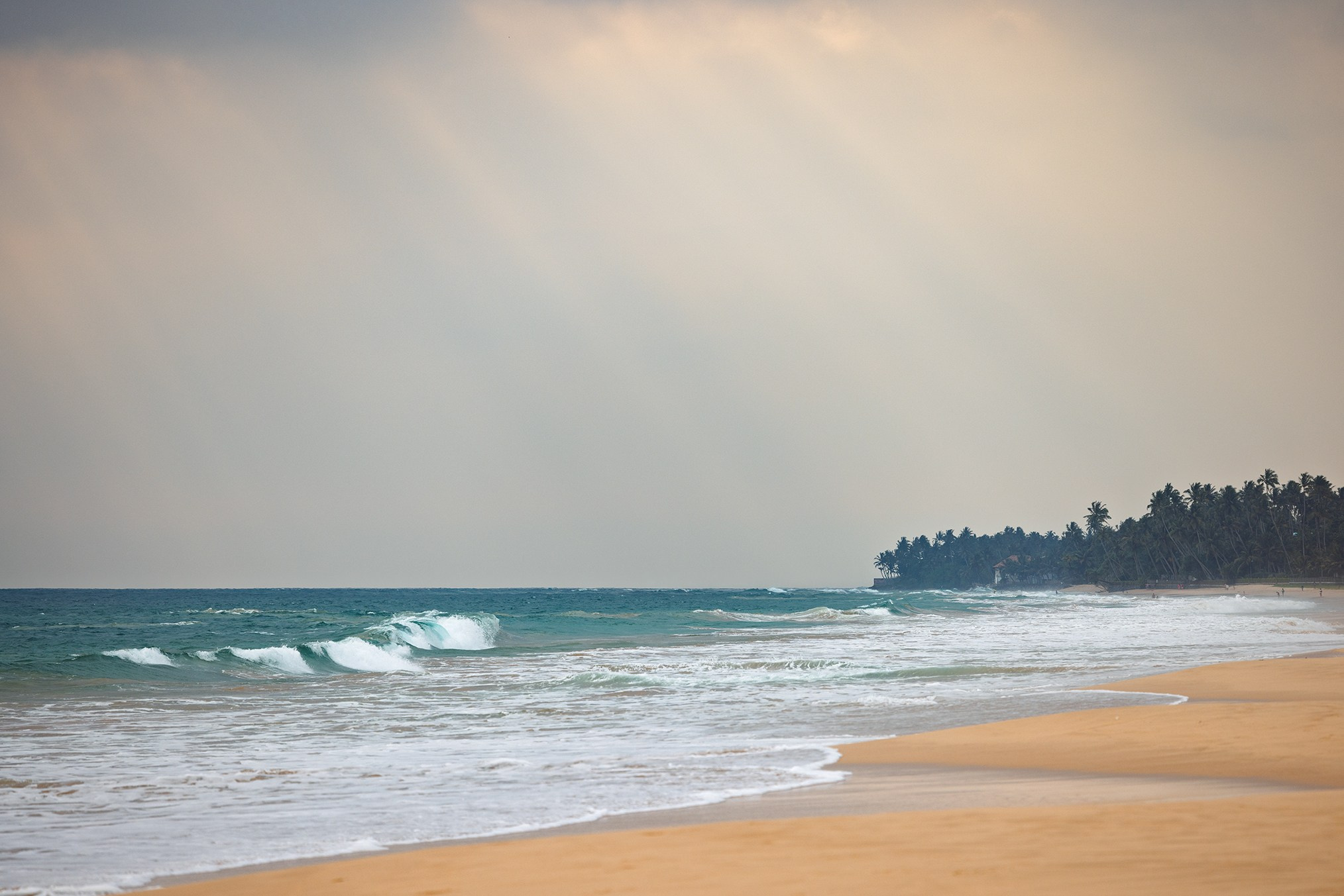 Sri-Lanka. High-quality interior photos for your home, office, hotel