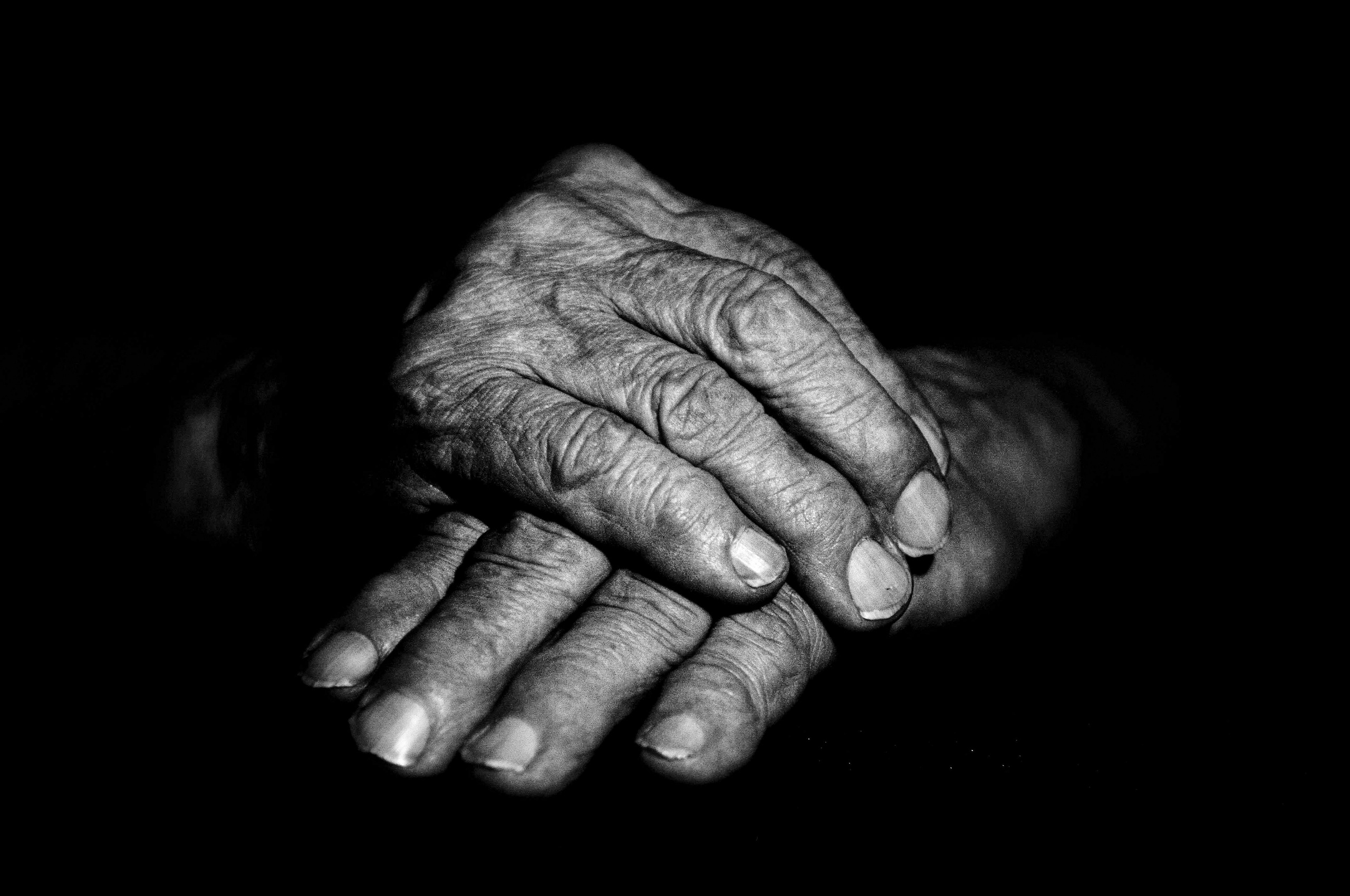 Курс «С нуля»