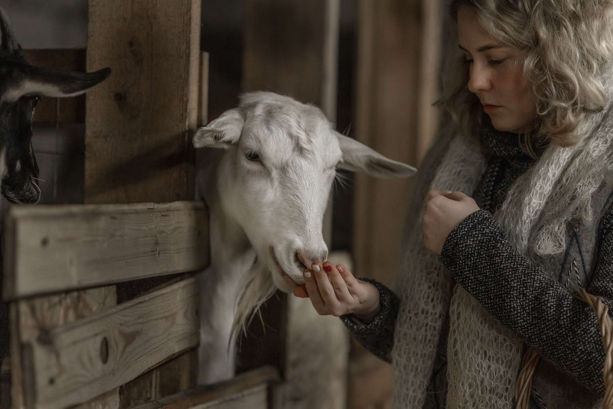 Обо мне. Фотограф-анималист в Москве и Подмосковье
