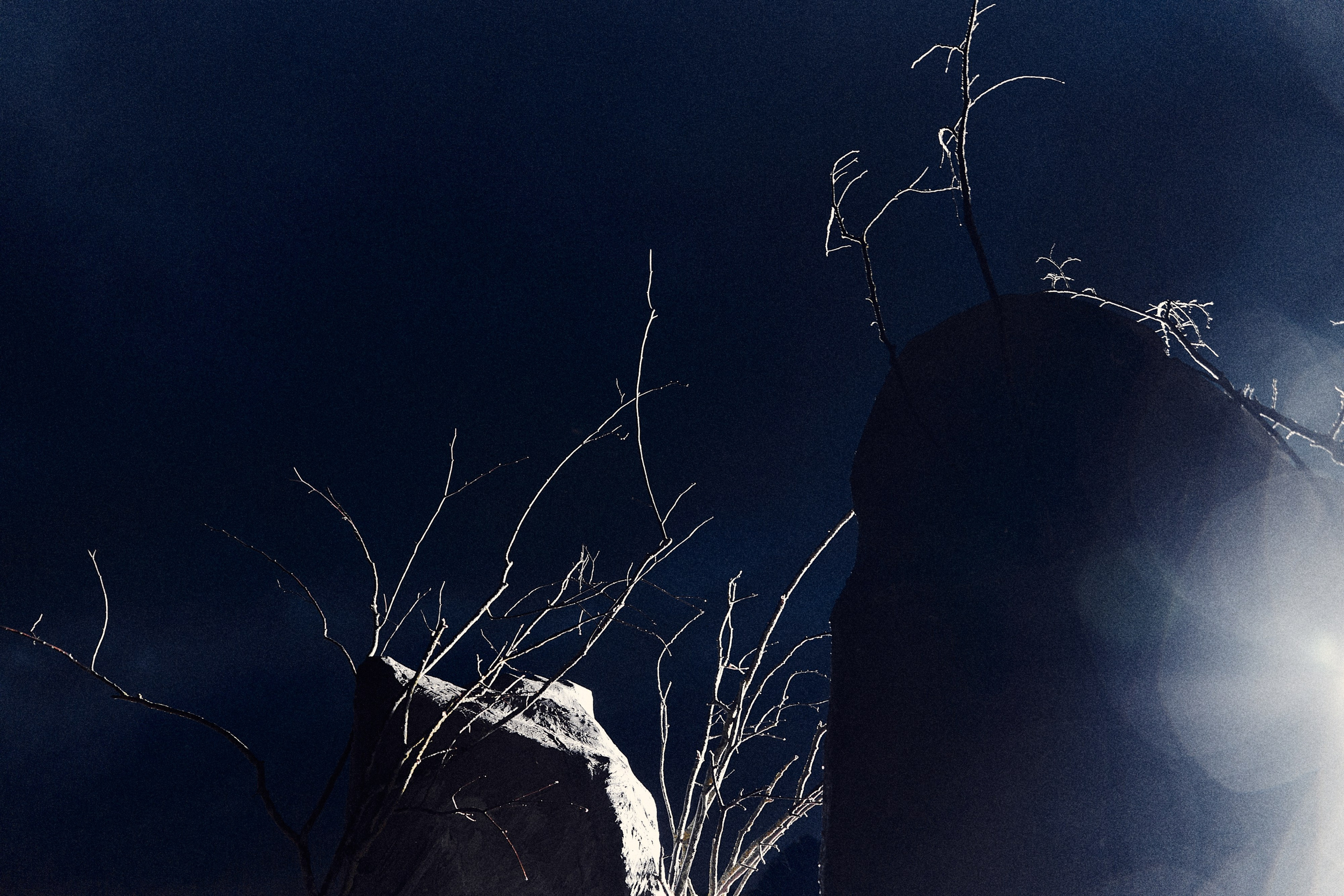 Виолетта и Александр. Свадебный и семейный фотограф в Иваново и Москве Мильков Вадим