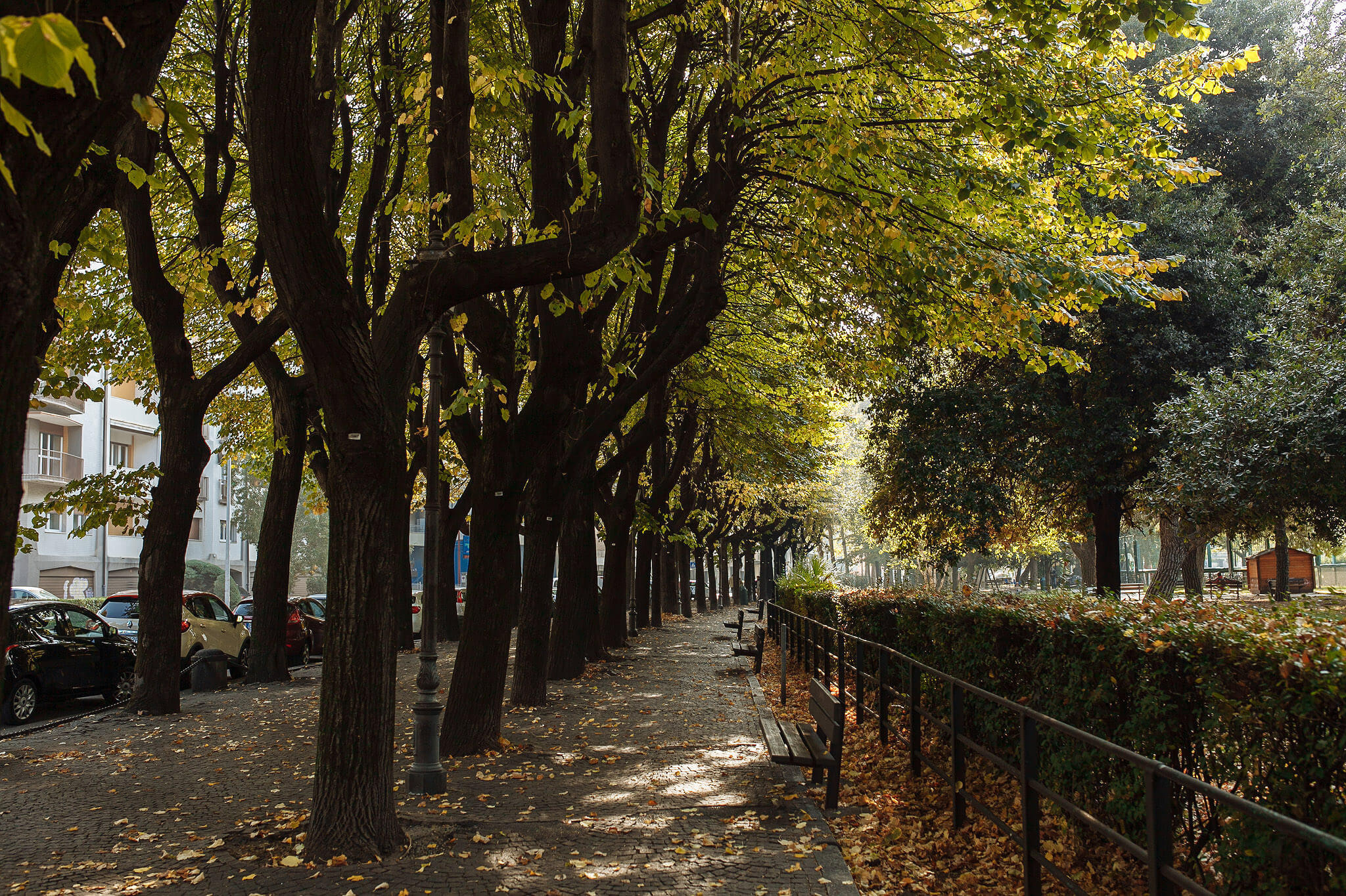 Италия своим ходом. Фотосессии в Пензе — фотограф Павел Козырь