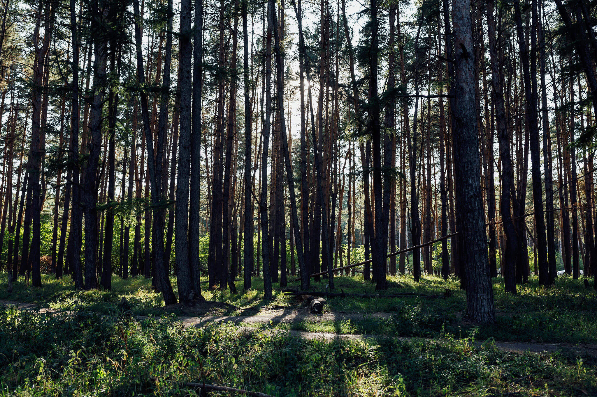 Жаркий август любви. Павел Козырь — профессиональный фотограф в Пензе