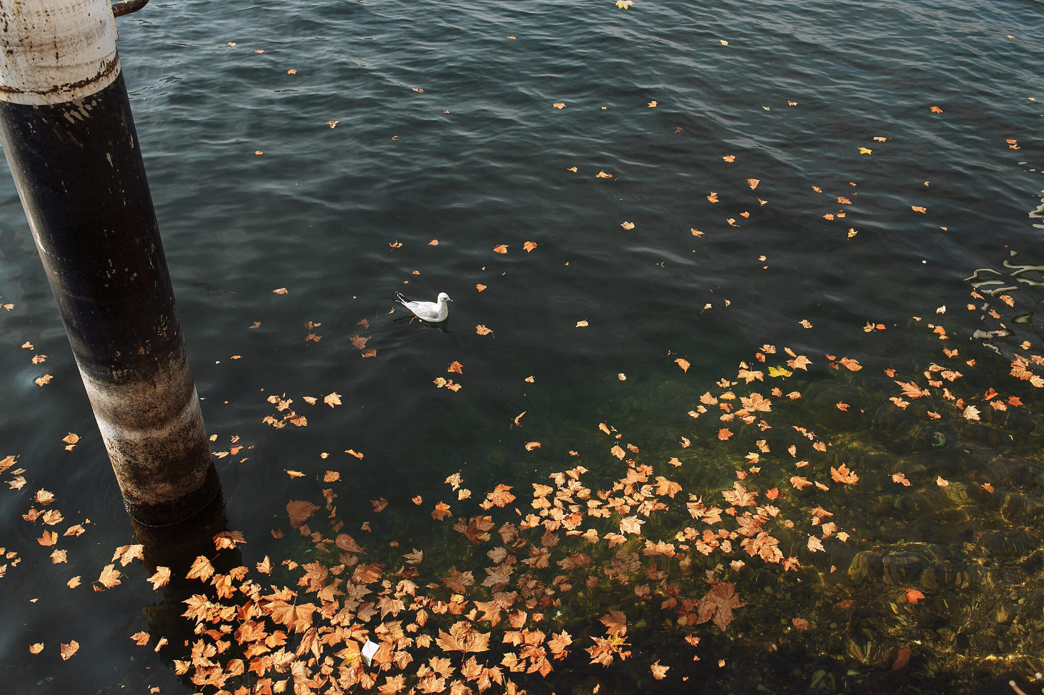 Италия своим ходом. Фотосессии в Пензе — фотограф Павел Козырь