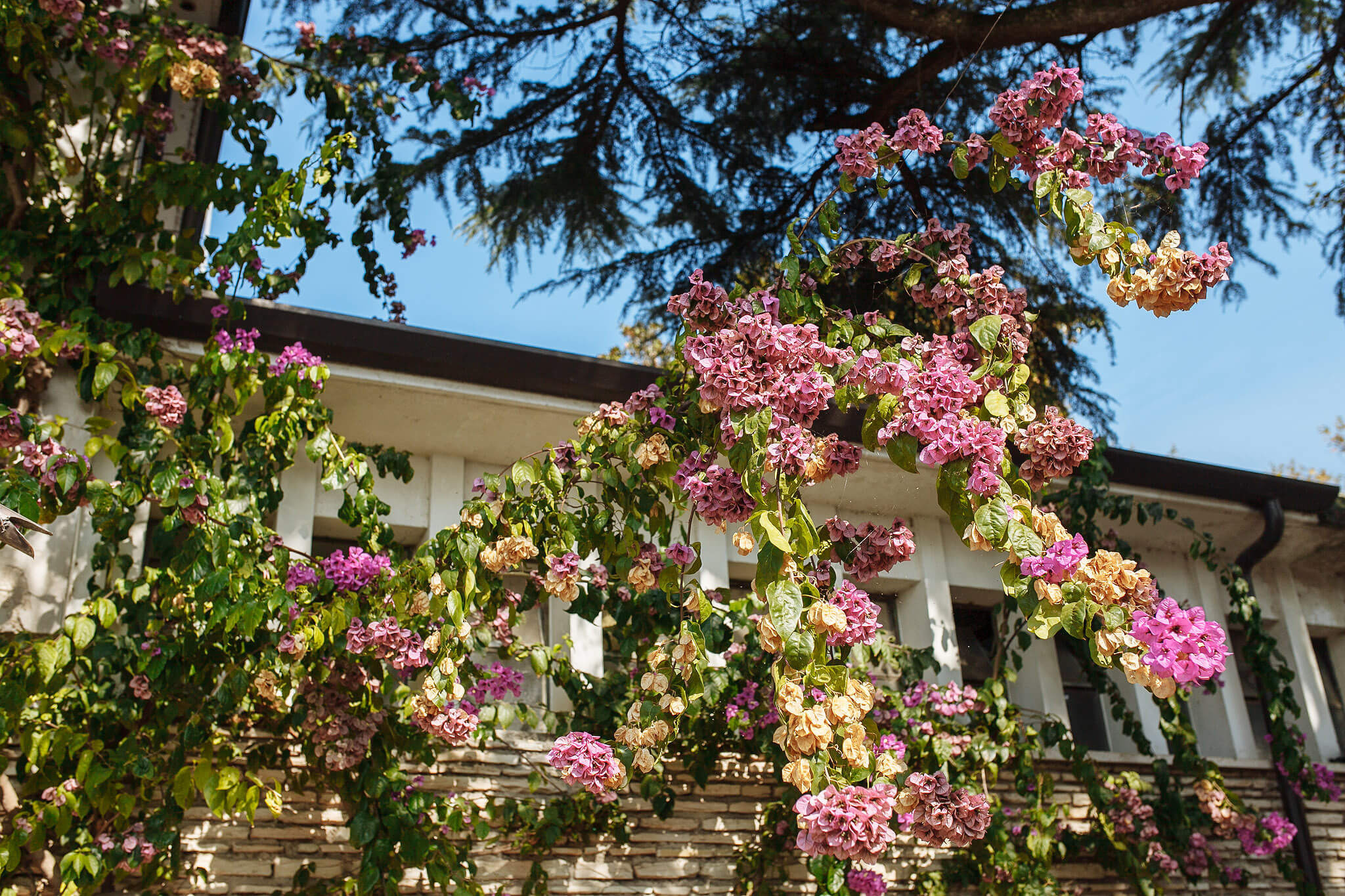 Италия своим ходом. Фотосессии в Пензе — фотограф Павел Козырь