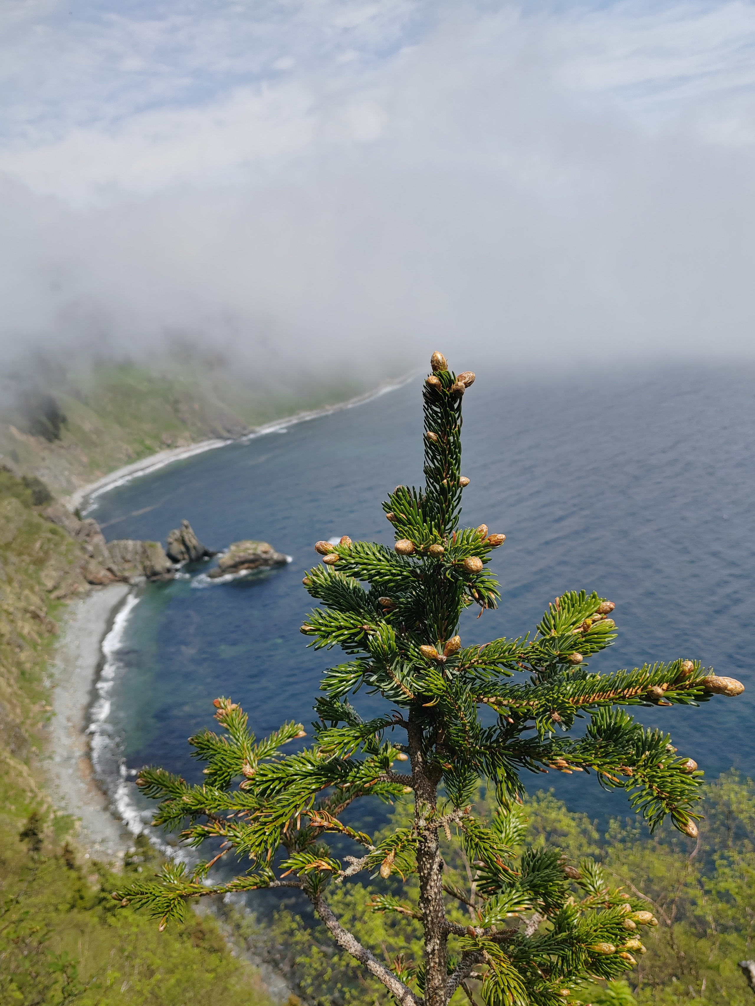Совгавань, Охотское море