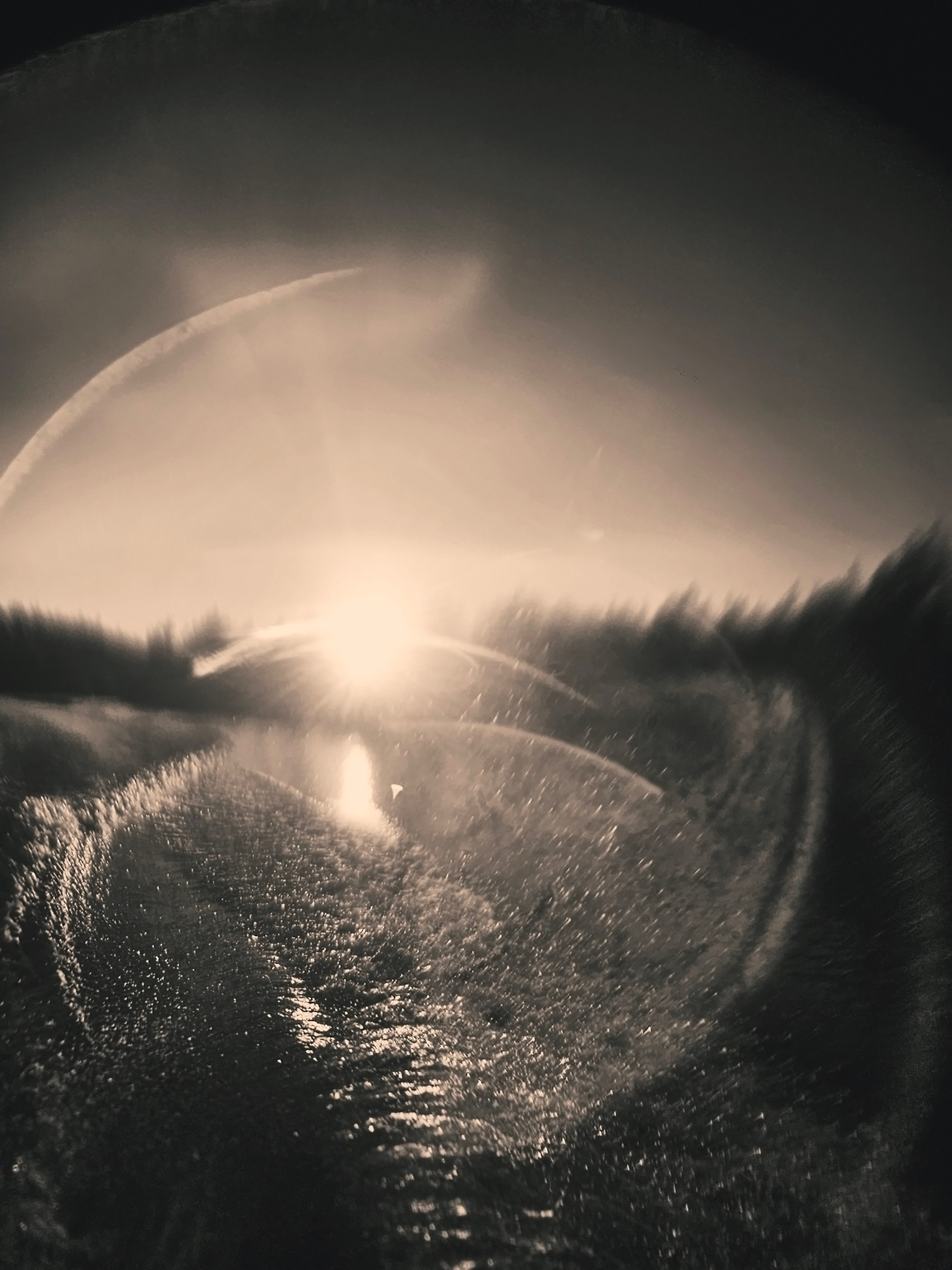 ФОТОГРАФИЯ. CONTEMPORARY ARTIST OLGA ANDRIYASH