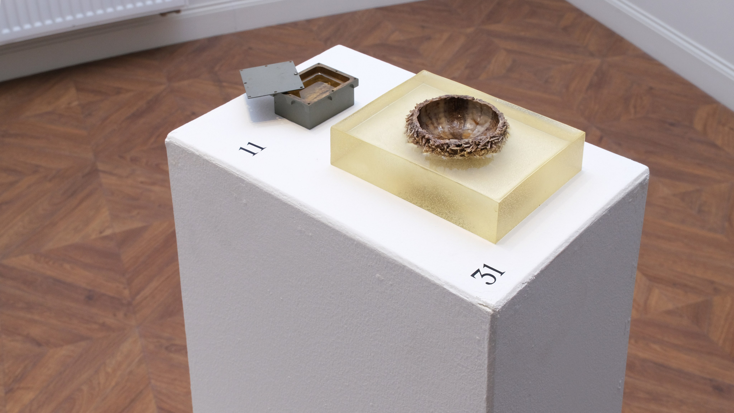 Маленькие и милые. Илья Крончев-Иванов