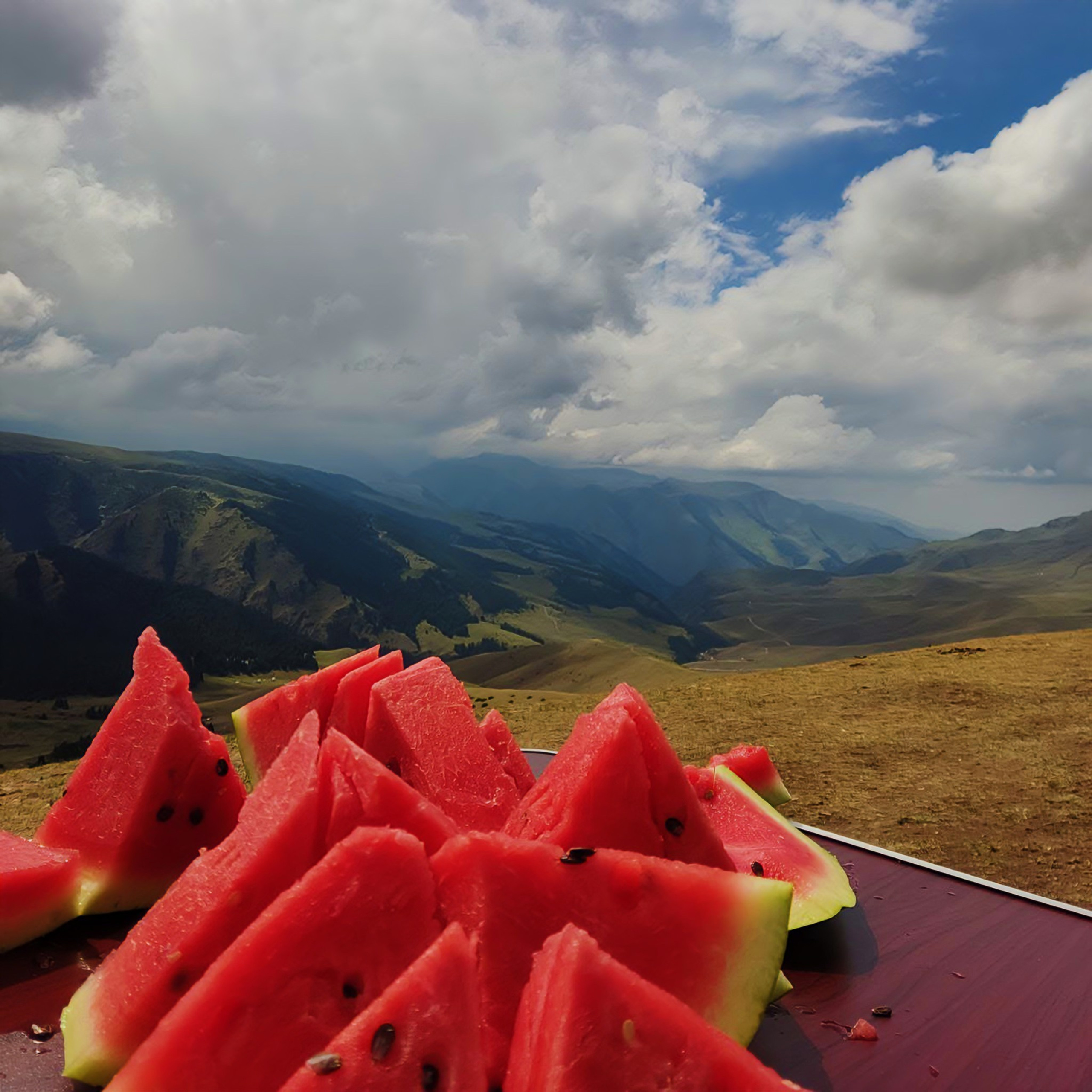 Melon Travel в Алматы: экскурсии и джип туры в Чарынский каньон, озера Каинды, Кольсай, Иссык, национальный парк Алтын Эмель