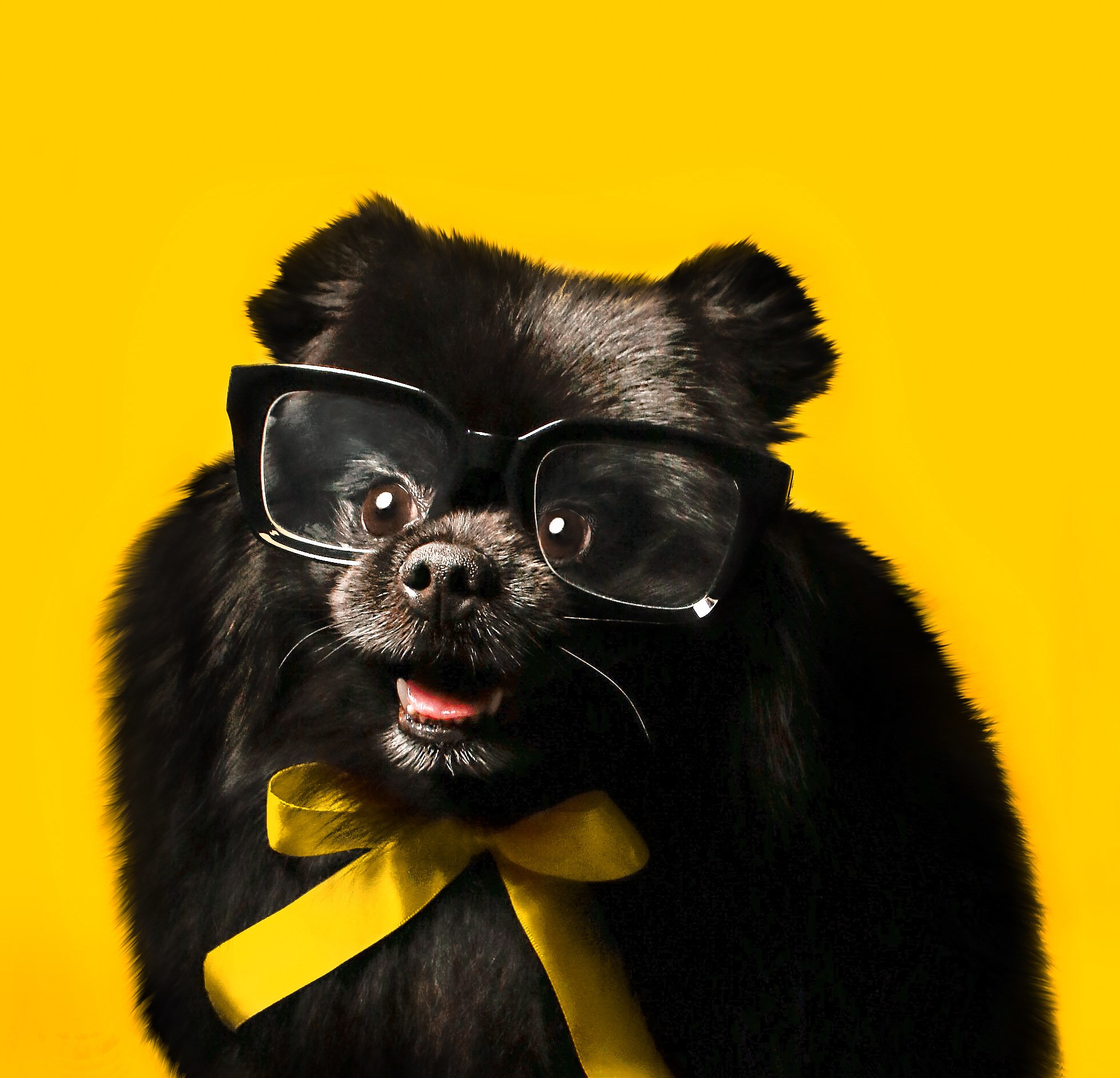 Филаткина Дарья | Креативный фотограф