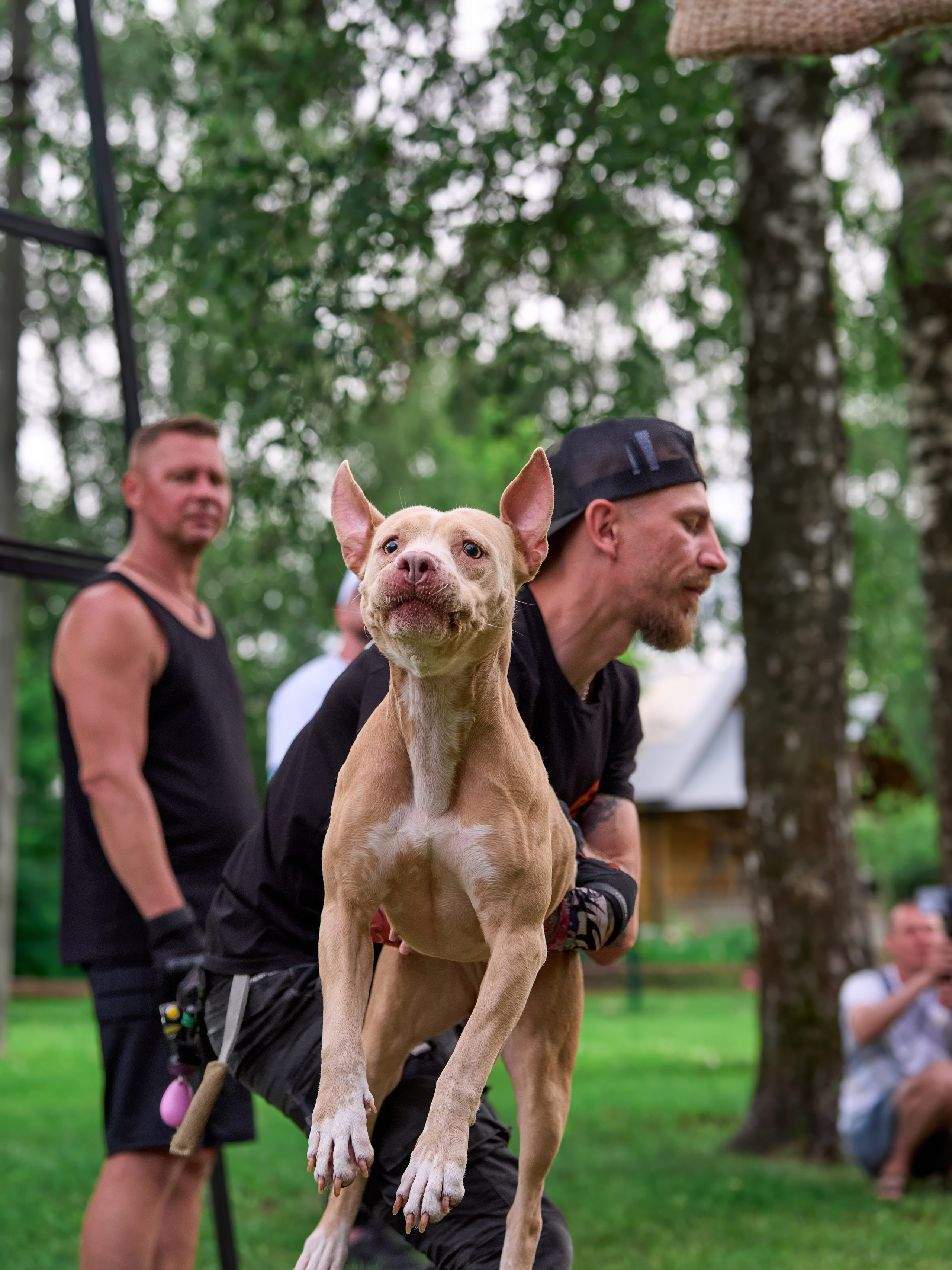 Двухдневные соревнования «Jump'n'Gym Fest — 2024». Фотограф-анималист Михаил Манухин