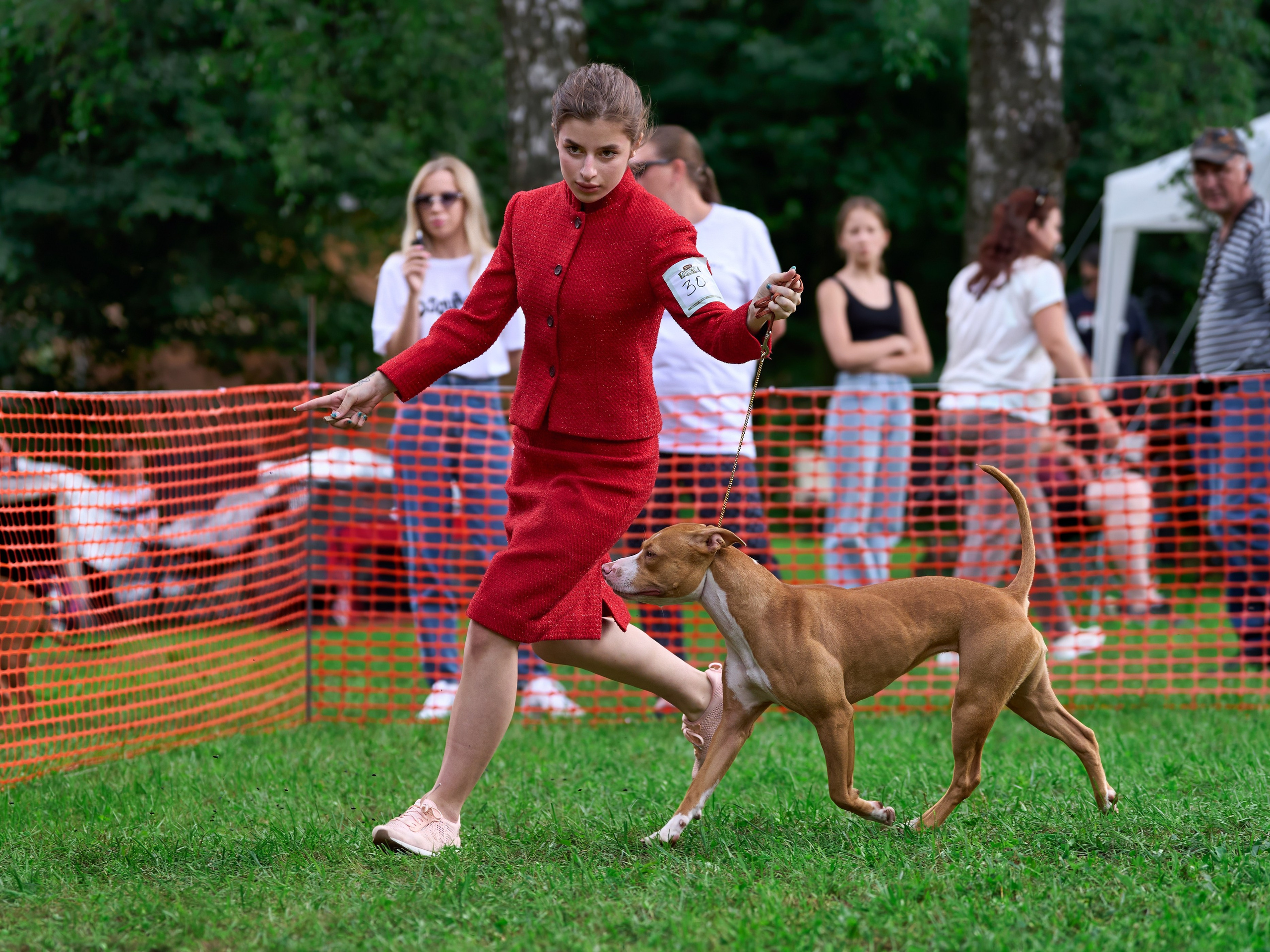 Золотой Кубок — 2024. Фотограф-анималист Михаил Манухин