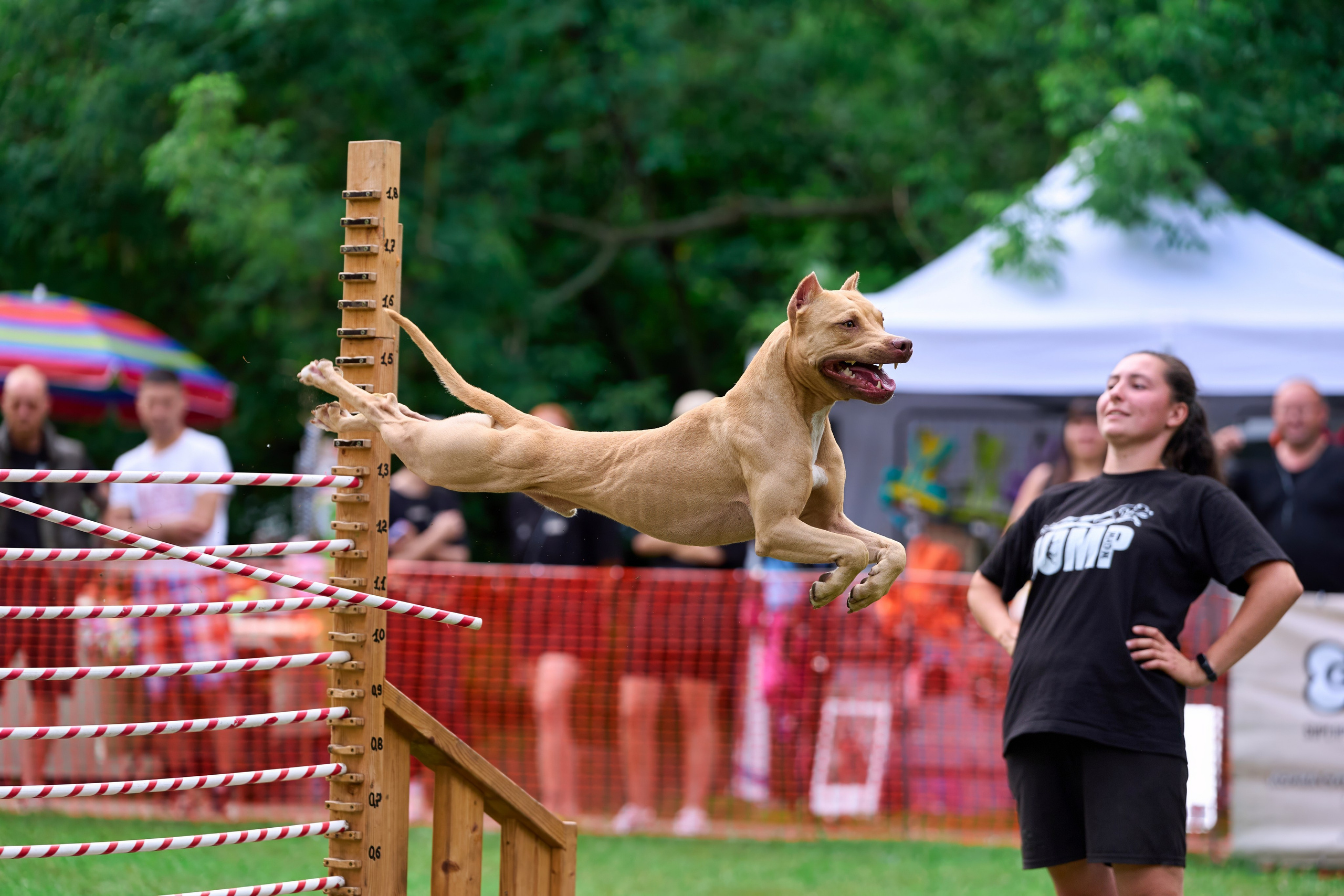 Jump'n'Gym JUMP! — 2024. Фотограф-анималист Михаил Манухин