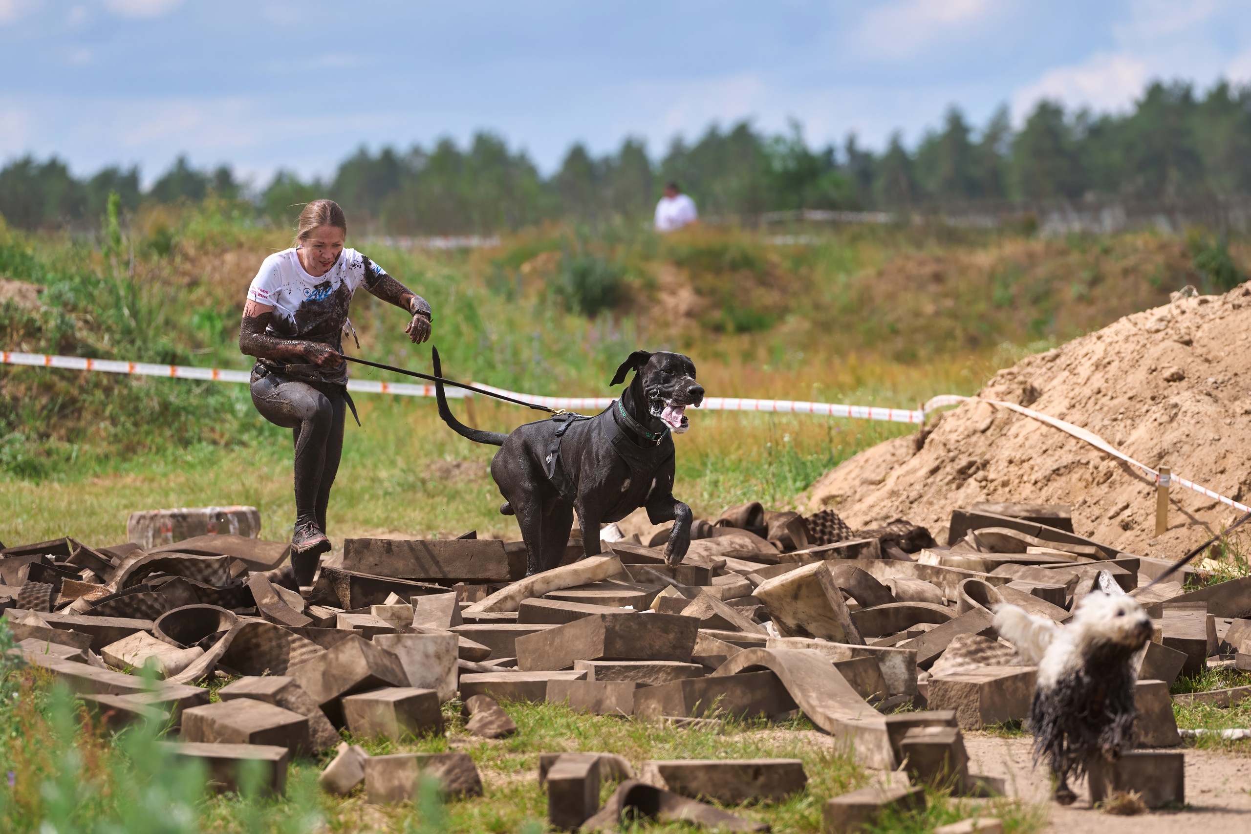 Хвостатый драйв — 2024. Фотограф-анималист Михаил Манухин