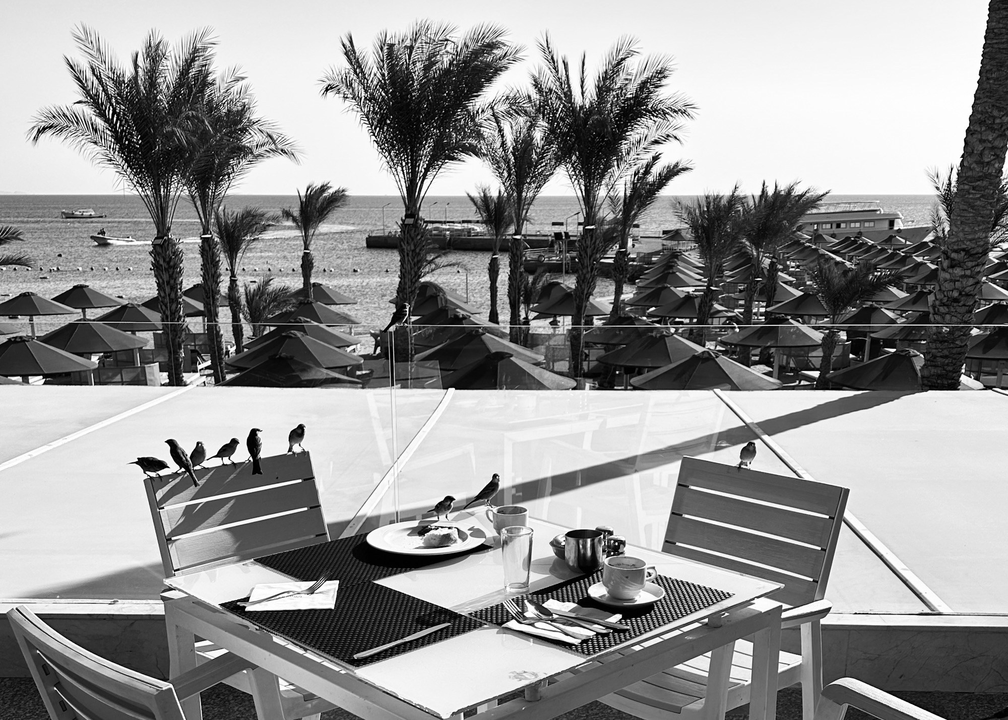 Черно-белая жара. Колесникова Мария Арт-фотограф