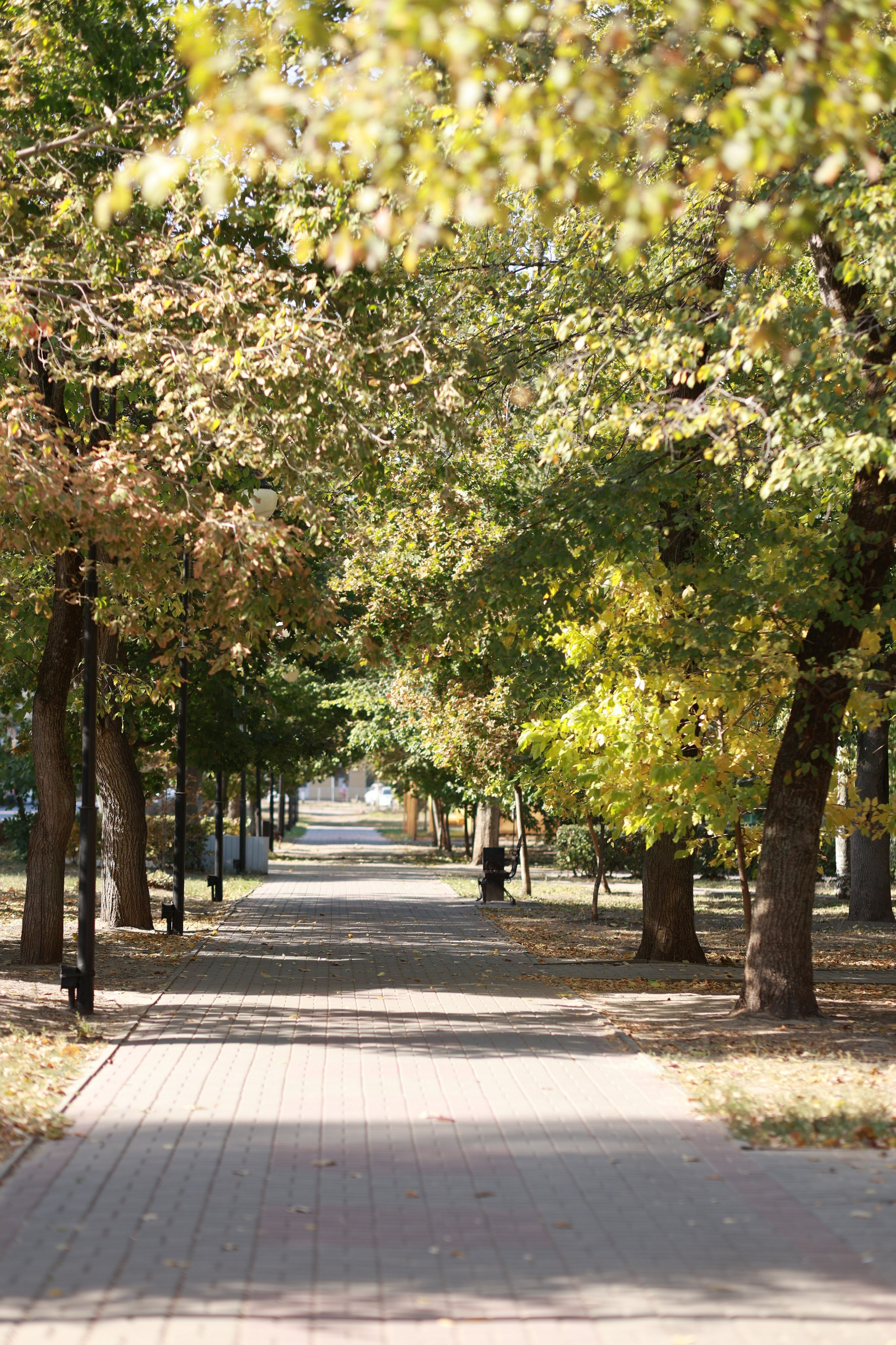 Этот чудесный фотодень. Семейный и свадебный фотограф в Воронеже Людмила Трифонова