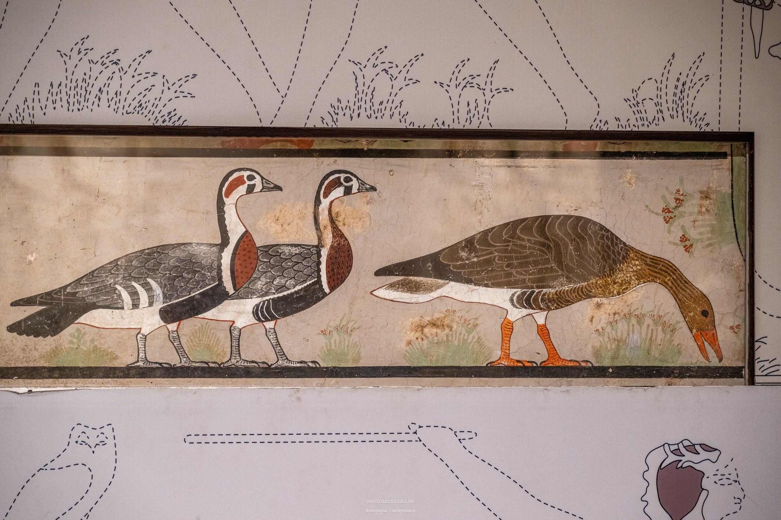 Каир самобытный и сумасшедший. Авторские стильные фотокартины