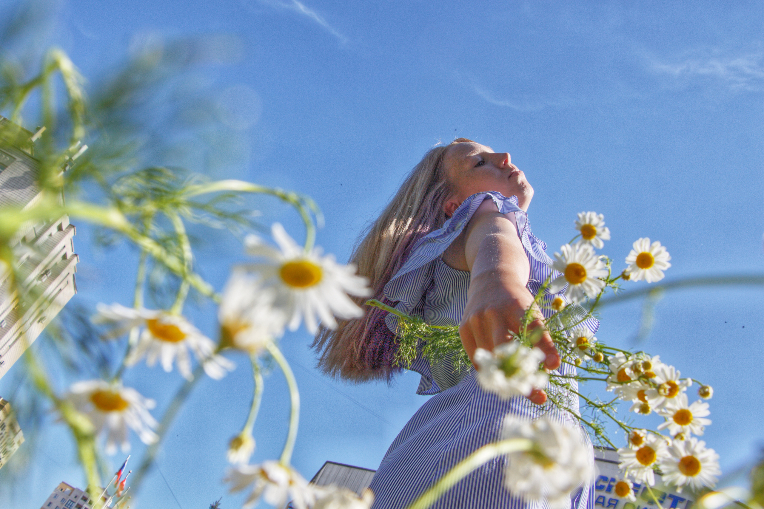 Елизавета с букетом ромашек…. Творческая, семейная Фотосъемка ДоброДарова Елена Омск