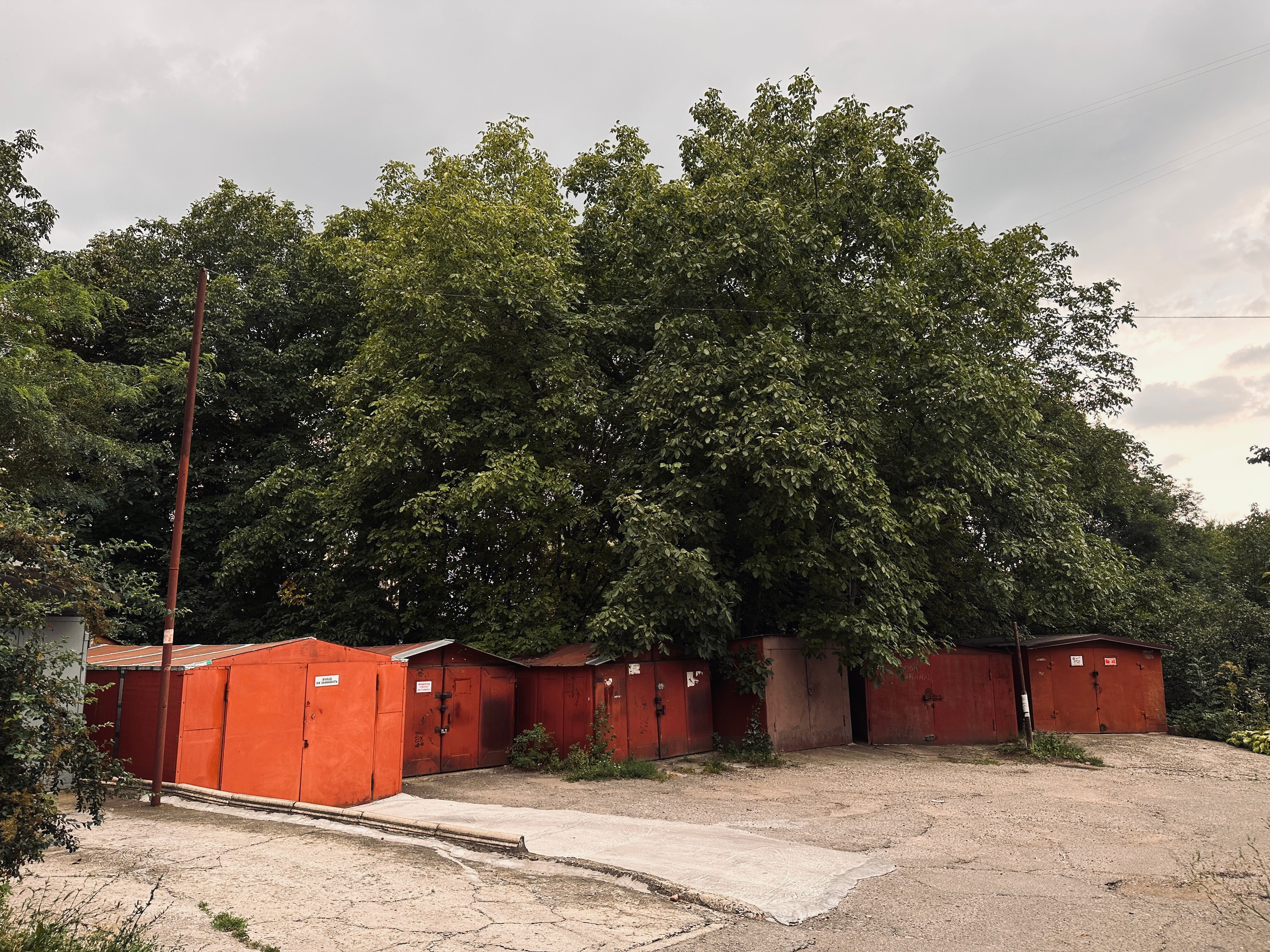 Кисловодск. Смотри, красота!