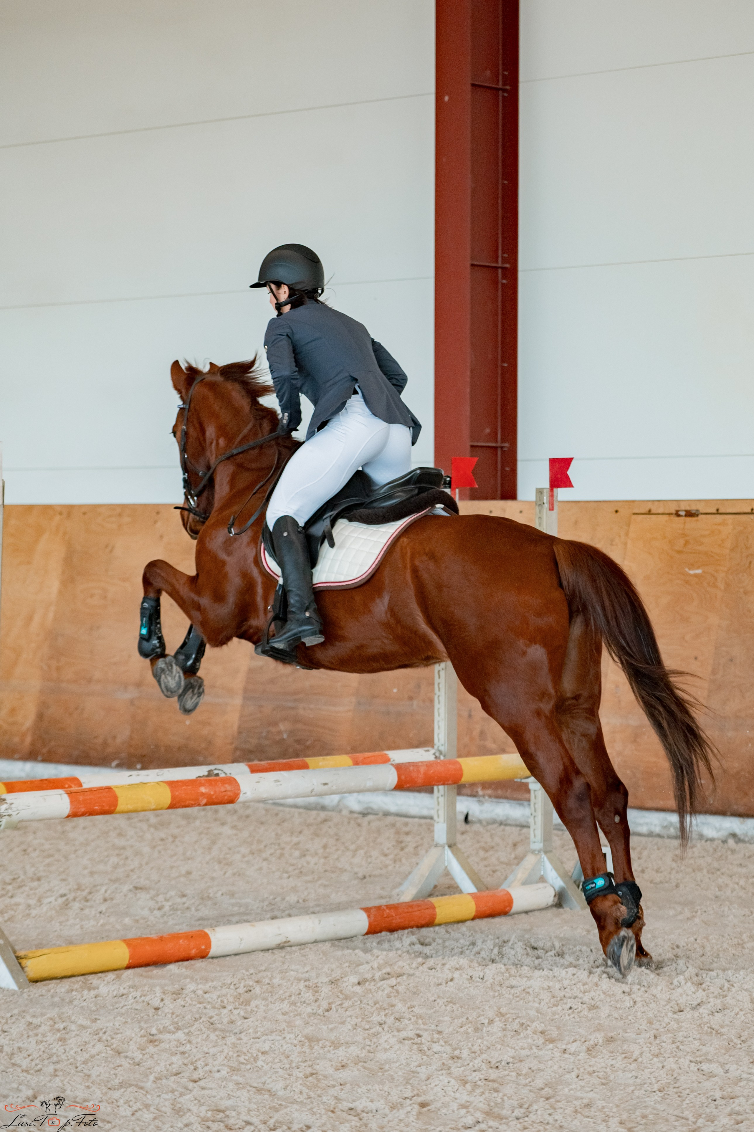 Эквипарк 6 этап Кубка Клубов. Конный и фотограф с животными в Твери Топталова Люся