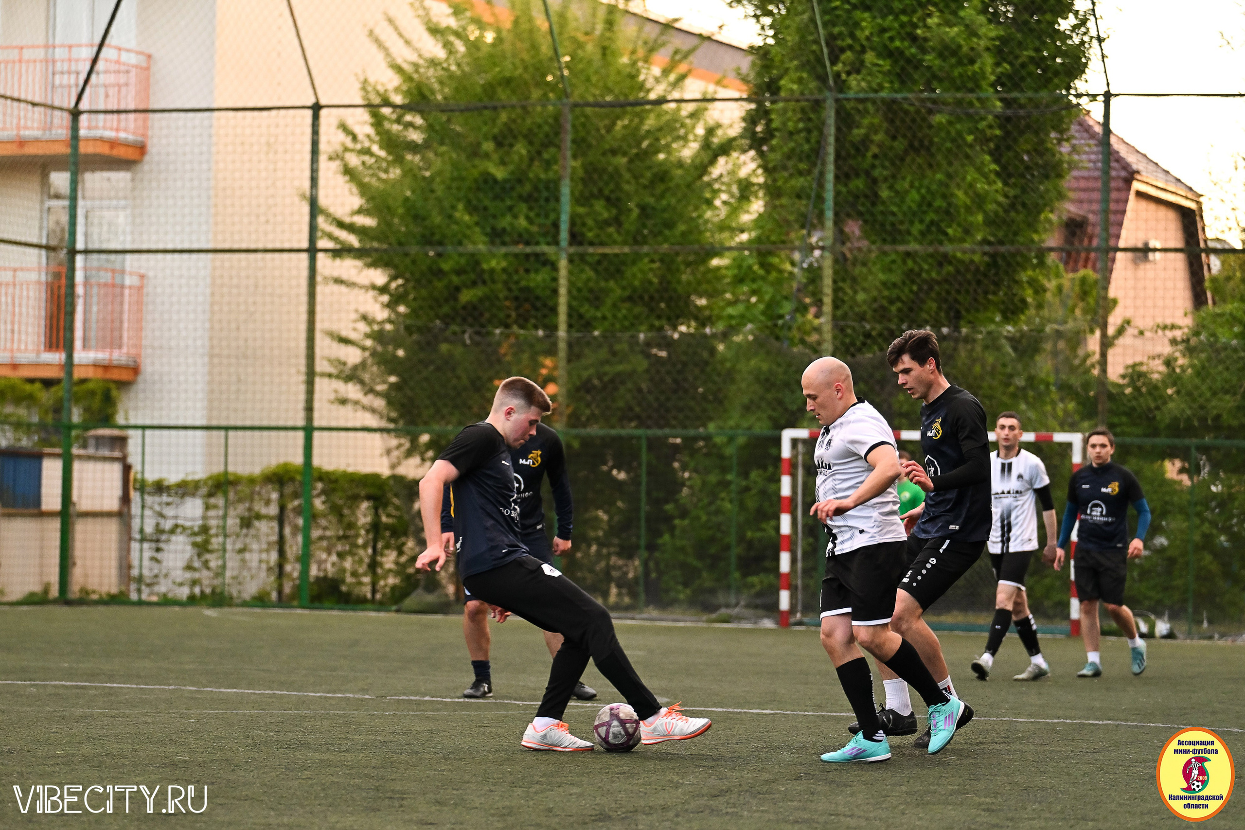 ИГРЫ МИНИ-ФУТБОЛЬНОЙ ЛИГИ. VIBECITY.RU Вайб Сити Ру Фоторепортажи Фотоотчеты Калининград