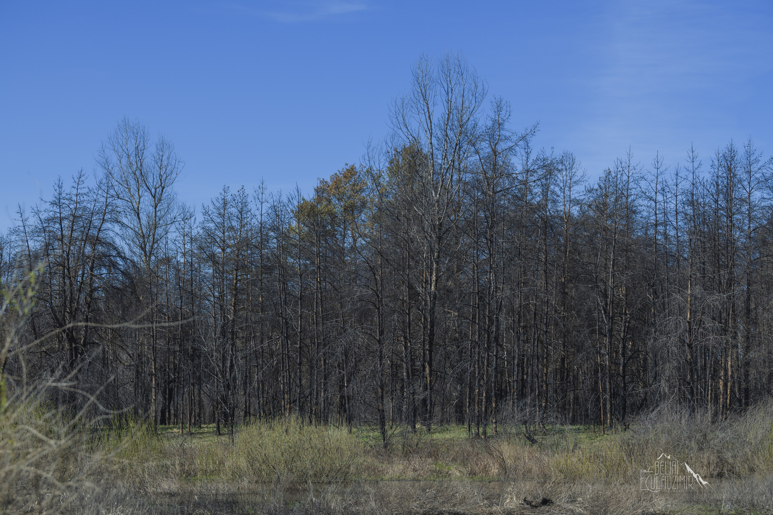 Сплав по реке Тремля 5 апреля 2026 года. Репортажный фотограф Владимир Беляй