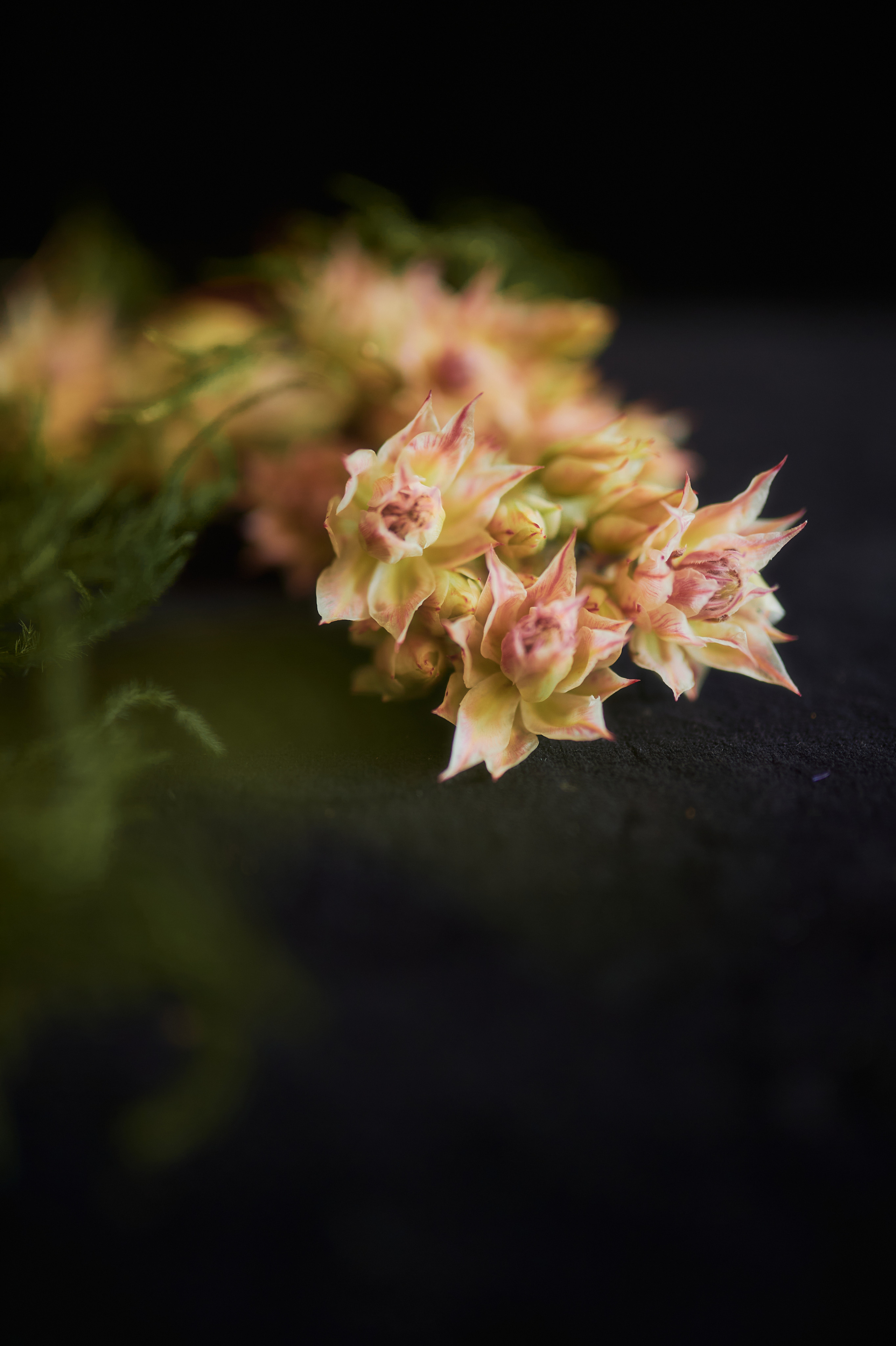 LFDM. Andrew Sozonov visual artist