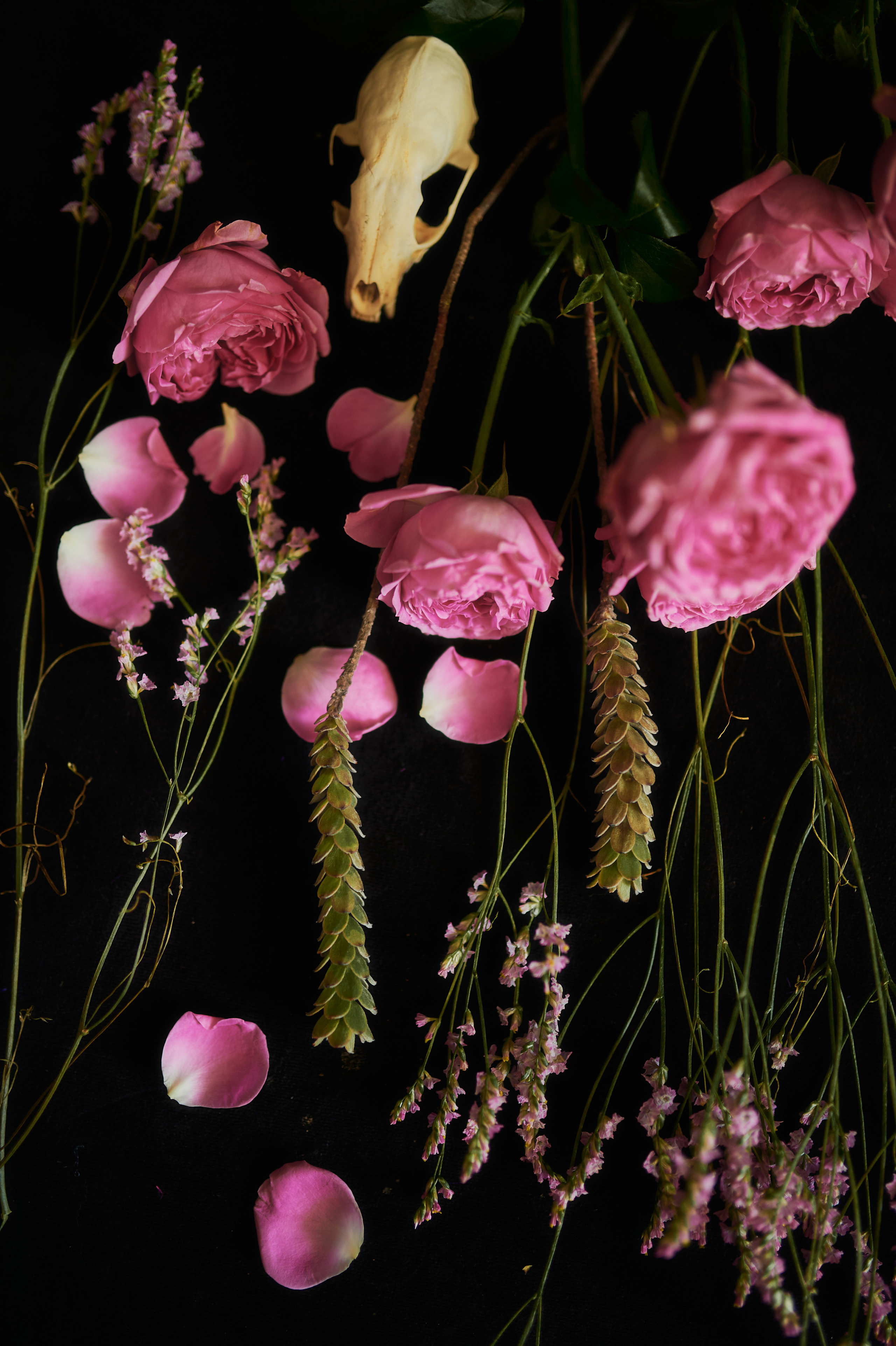 LFDM. Andrew Sozonov visual artist