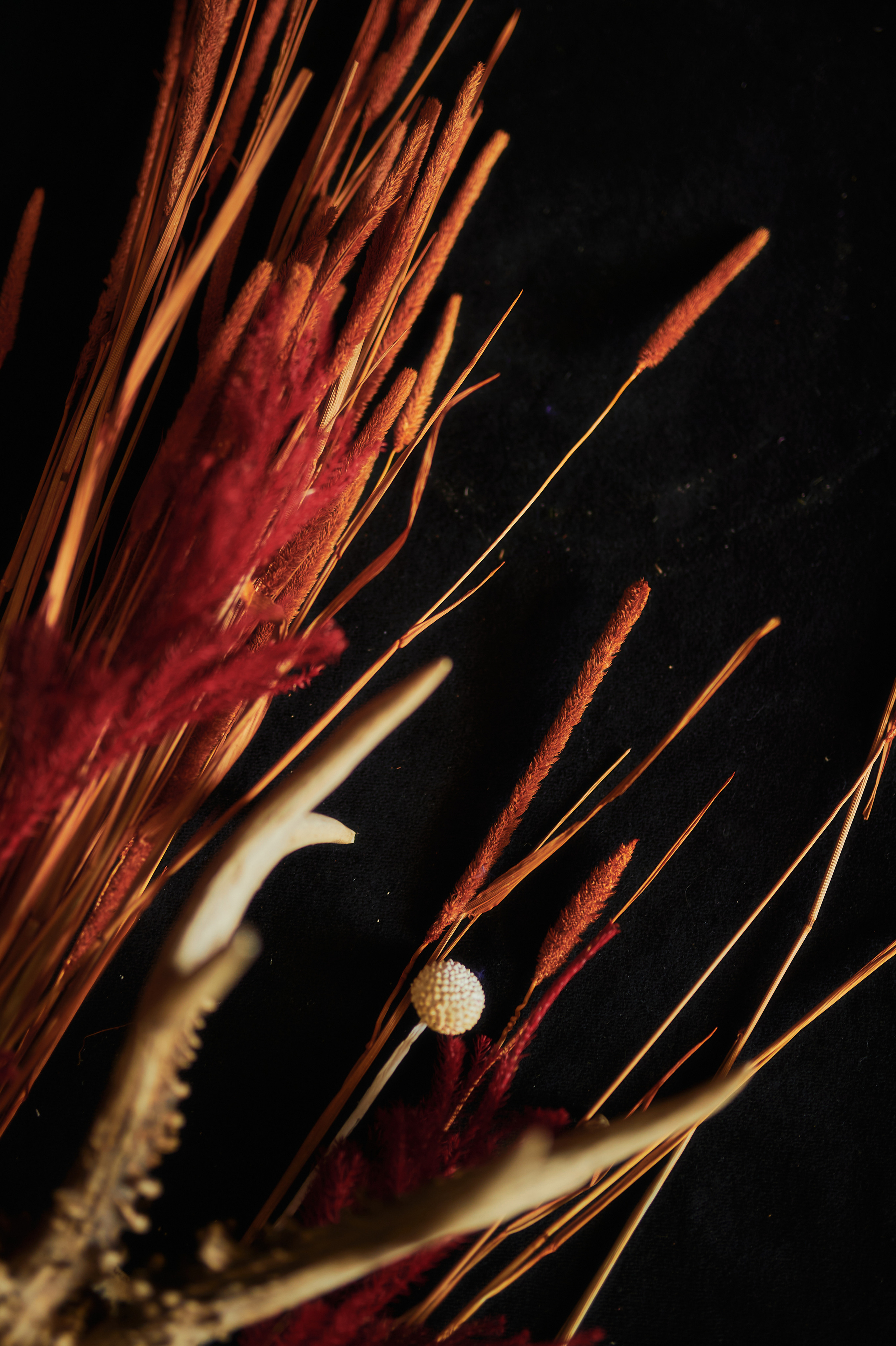 LFDM. Andrew Sozonov visual artist