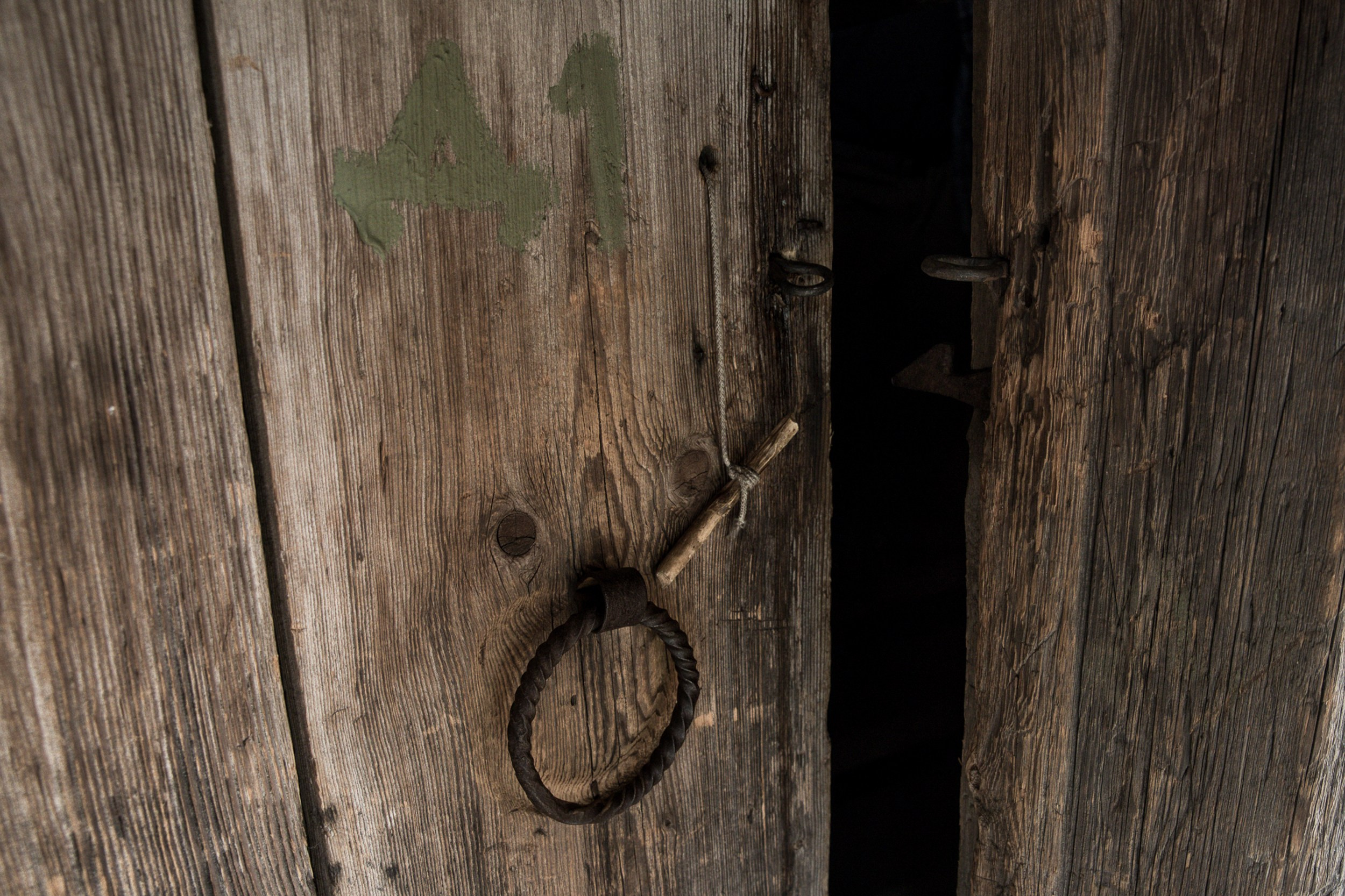 Братья по северу. Юлия Невская режиссер и сценарист документального кино, документальный фотограф