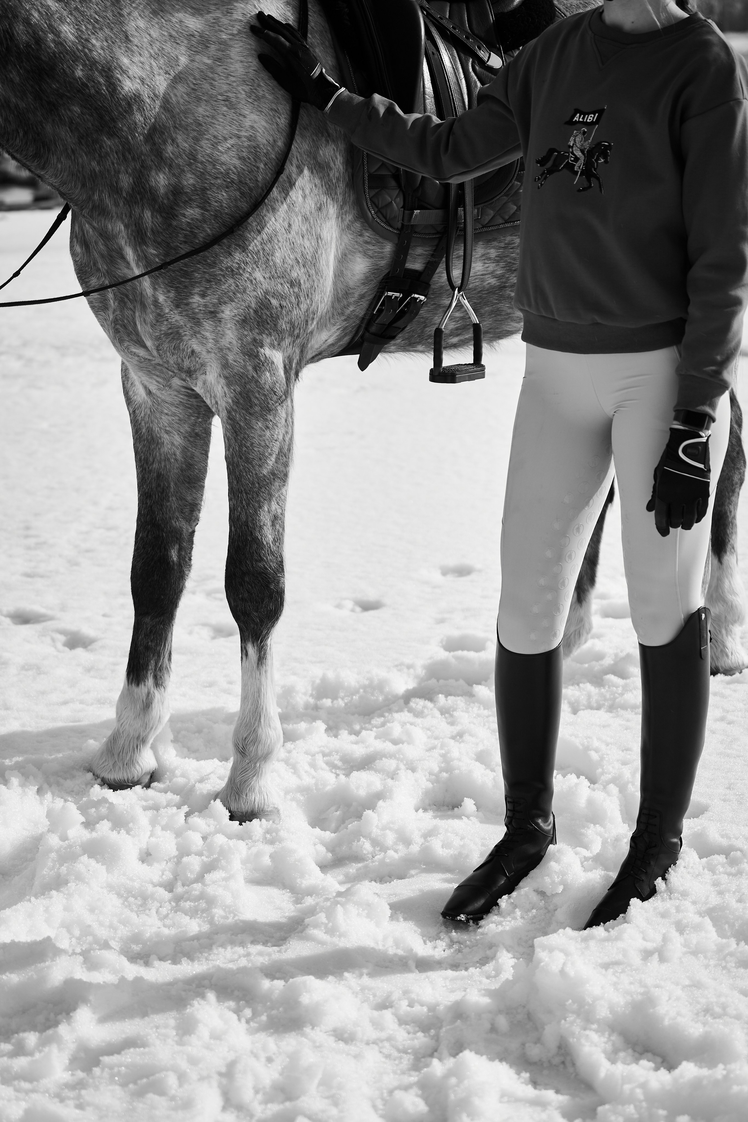 Фотосессии с лошадьми в Москве, Новосибирске