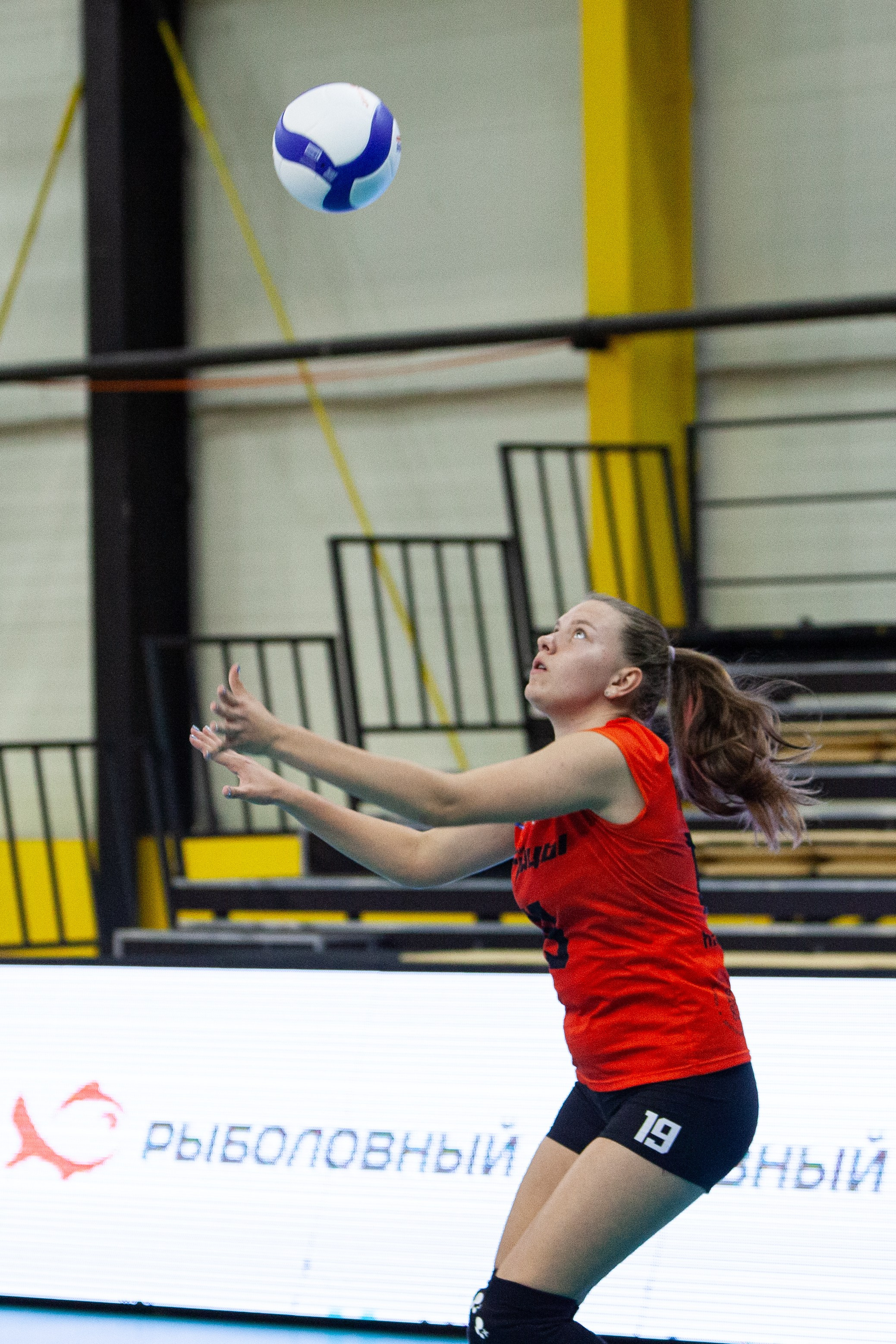 Один день из тура чемпионата России по волейболу. Кутузов Евгений Фотограф в Южно-Сахалинске
