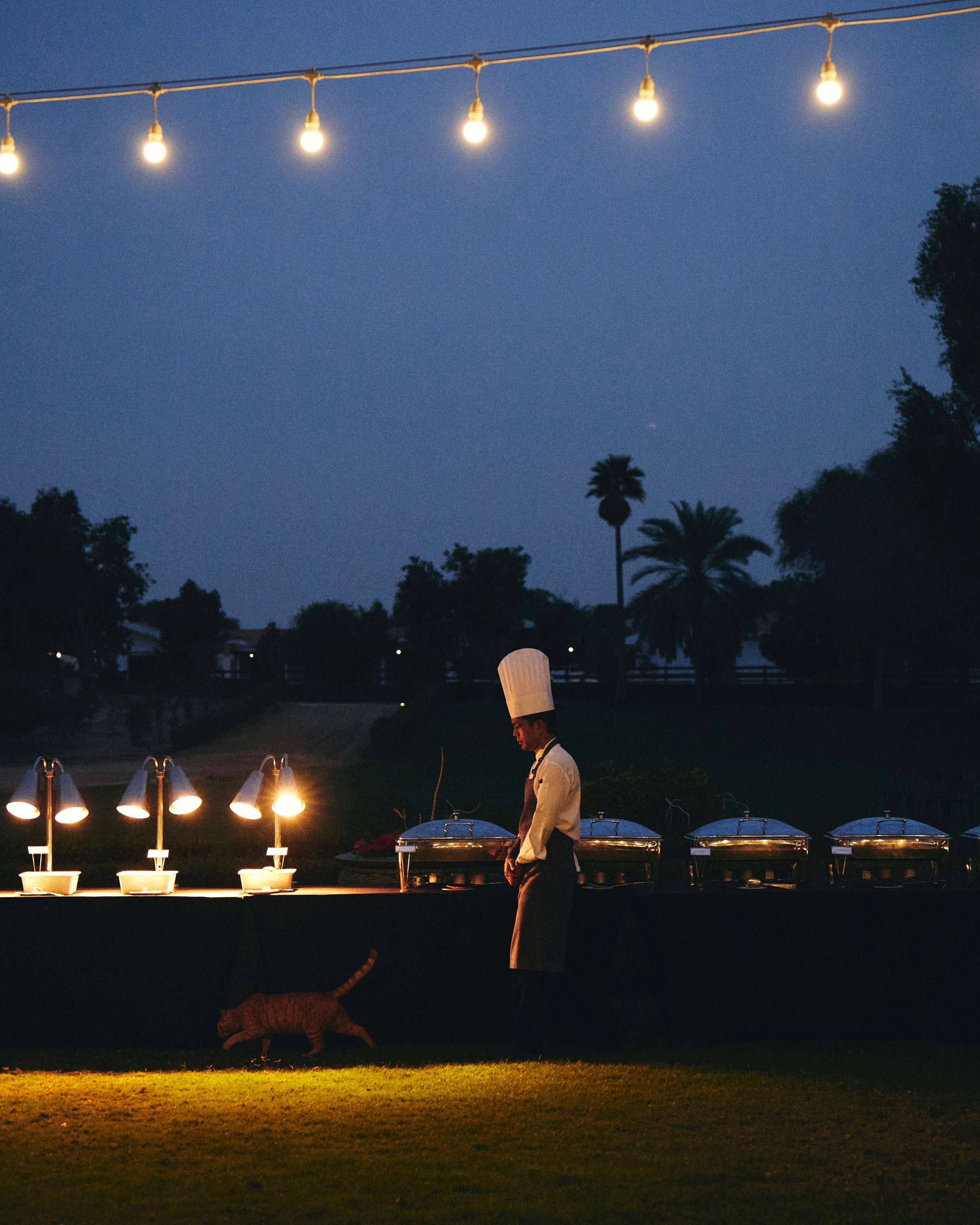 Банкет. Главная