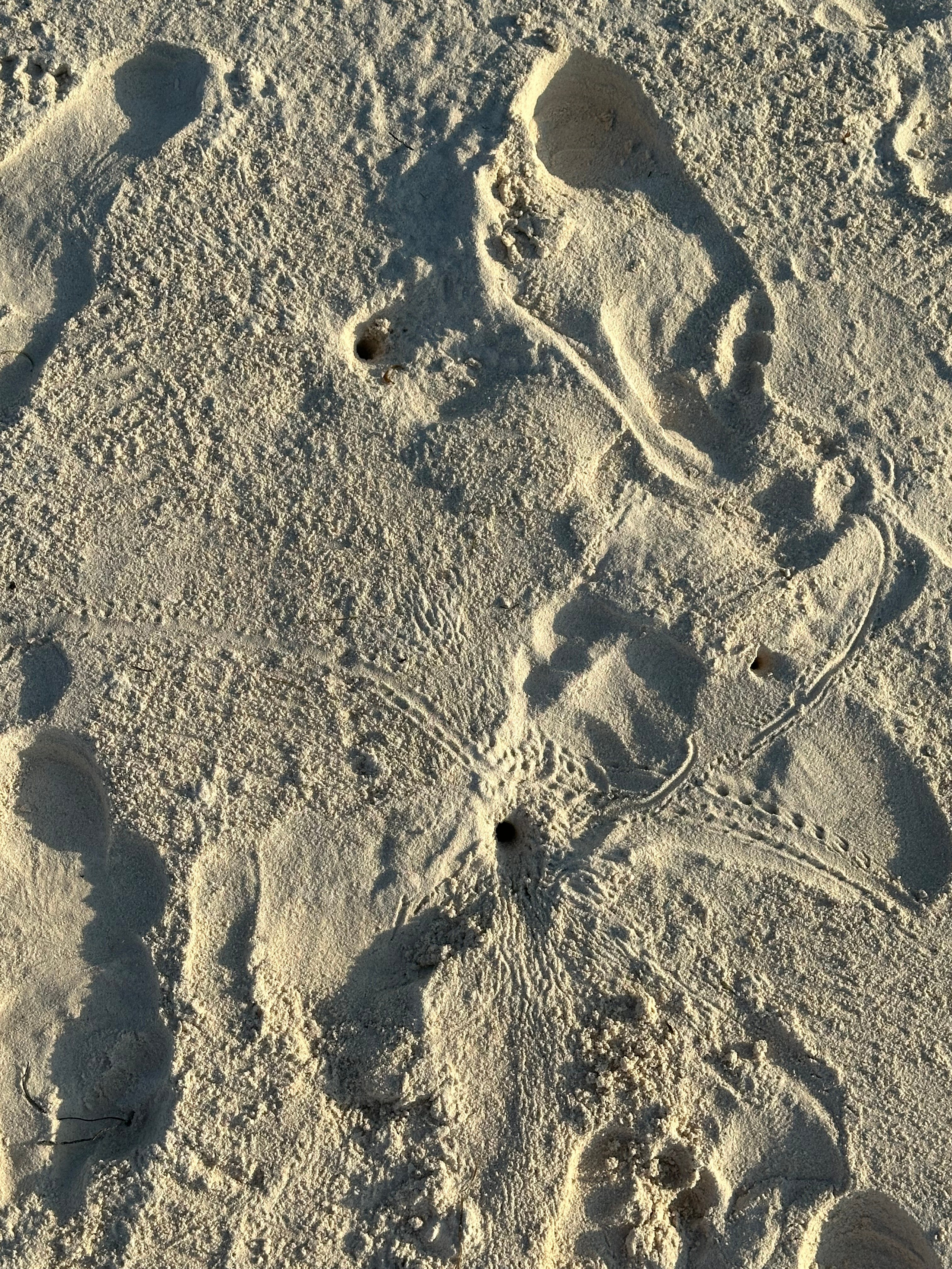 Вода. Эстет в моменте