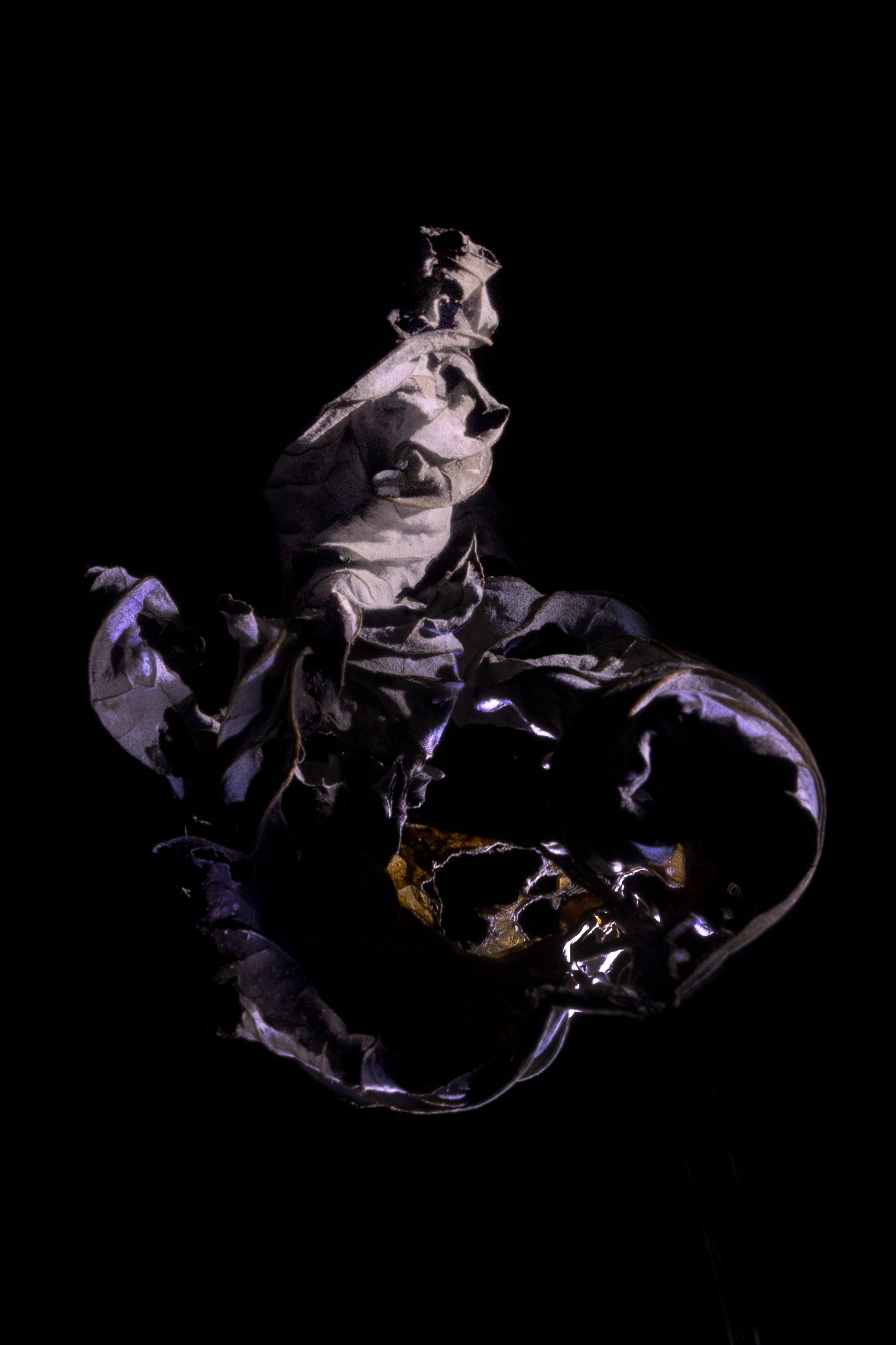 «Тебе кажется…?». Арт-фотограф во Владивостоке Дмитрий Осипчук