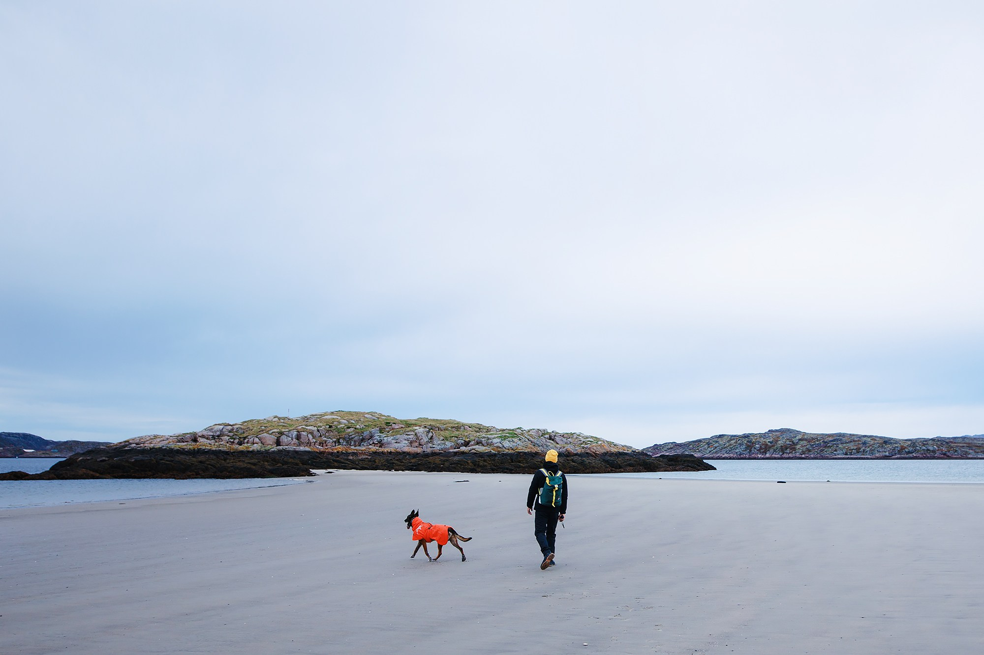 Фотограф-анималист Mary Mart — Москва, Питер