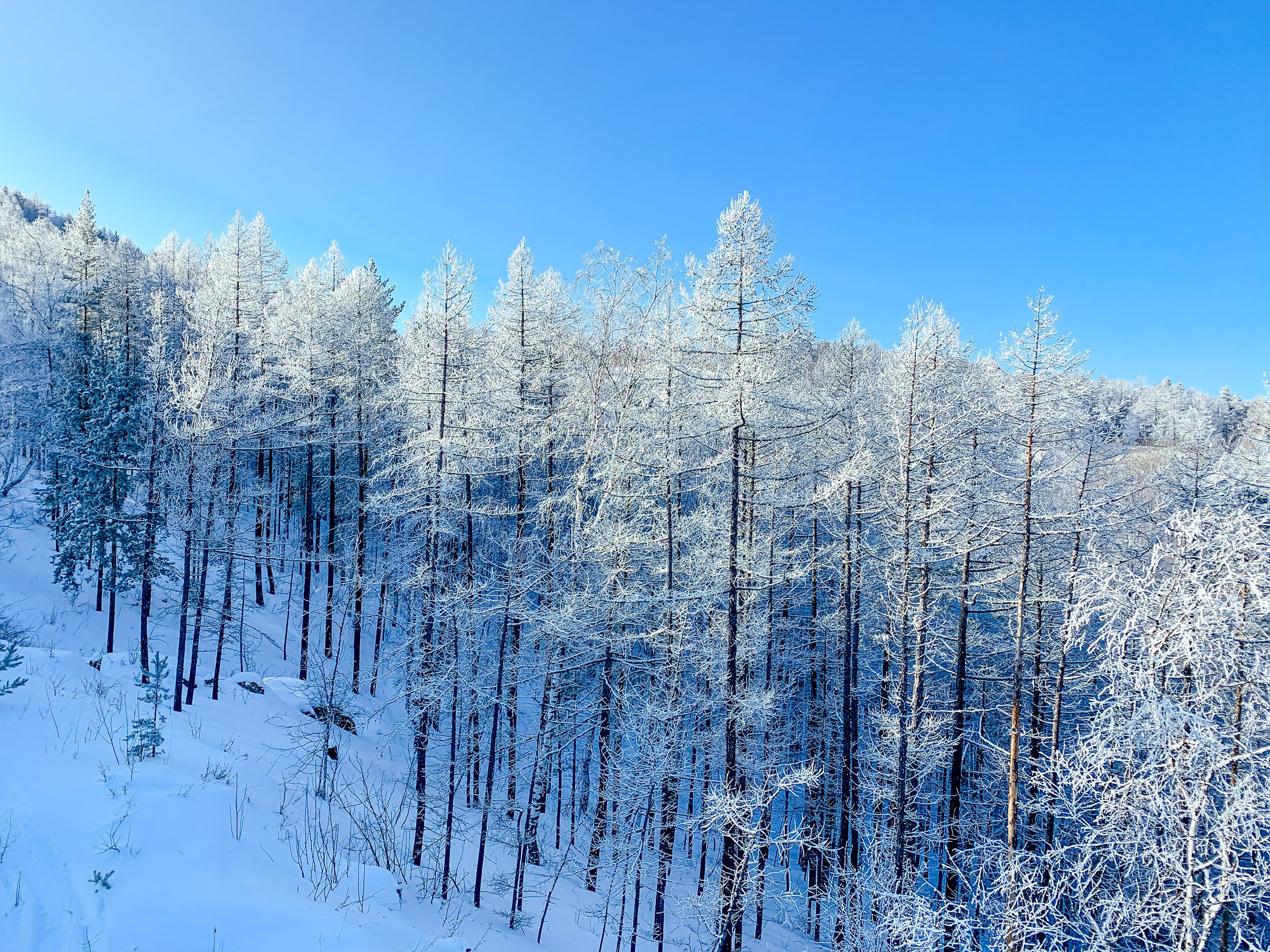 Горнолыжный тур на Банное и в Абзаково Уфы — Время Приключений