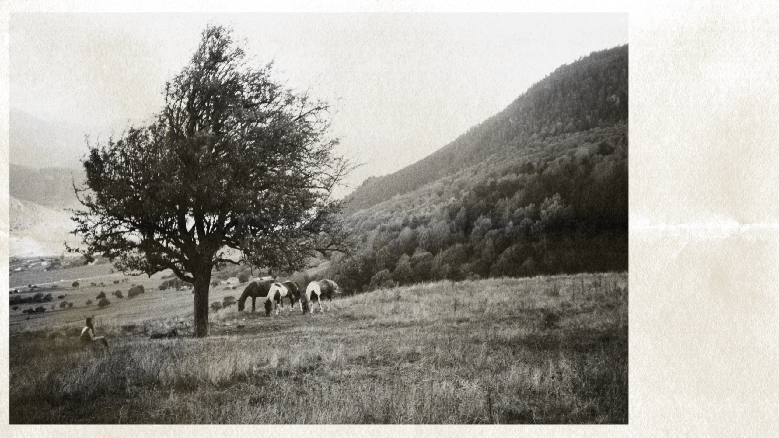 Contacts. Elena Raya • Photographer