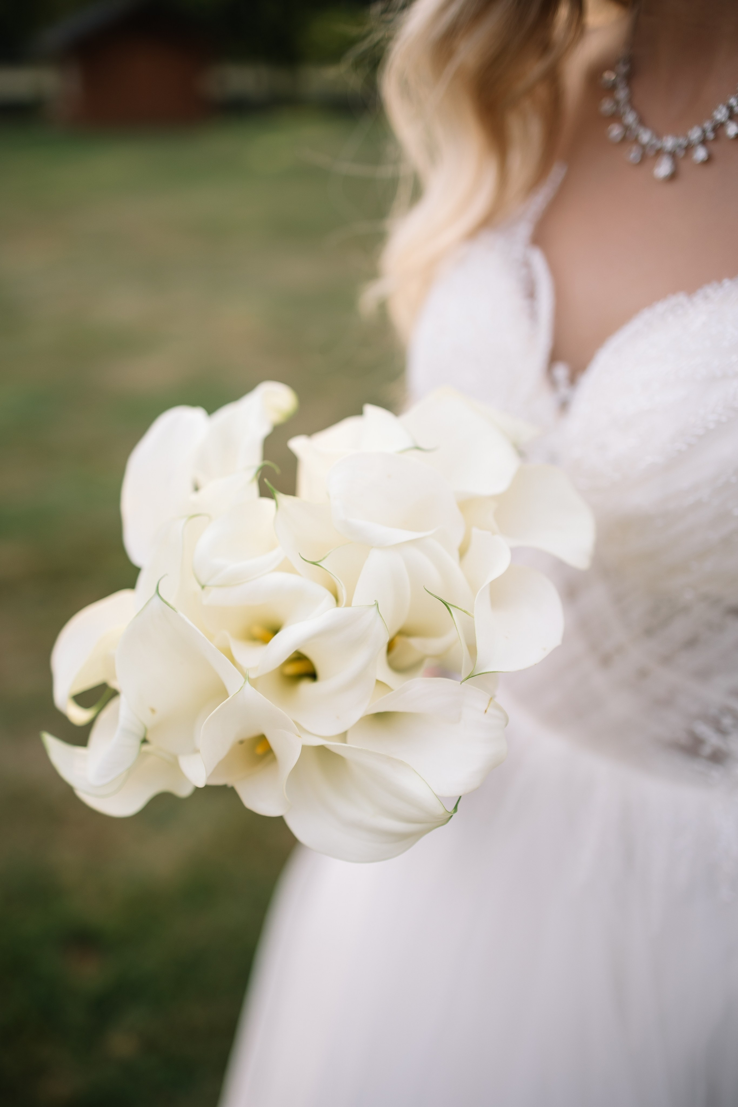 Прайс на свадебную фотосъемку. Фотограф Ступино, Коломна, Москва