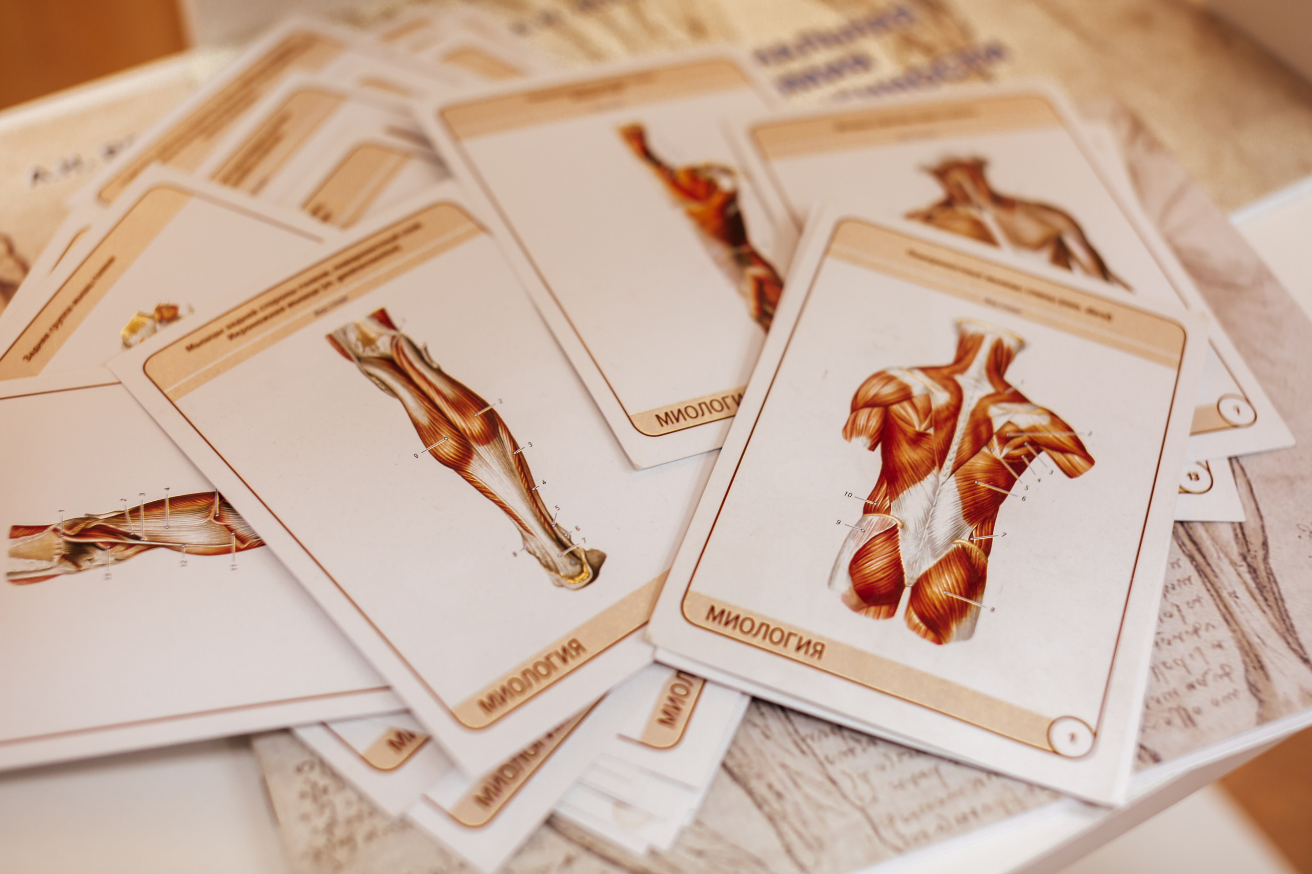 КОНТАКТЫ. Https://esmassage.ru