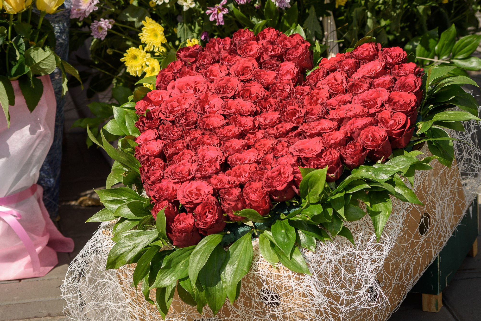 Красные розы, выложенные в форме сердца