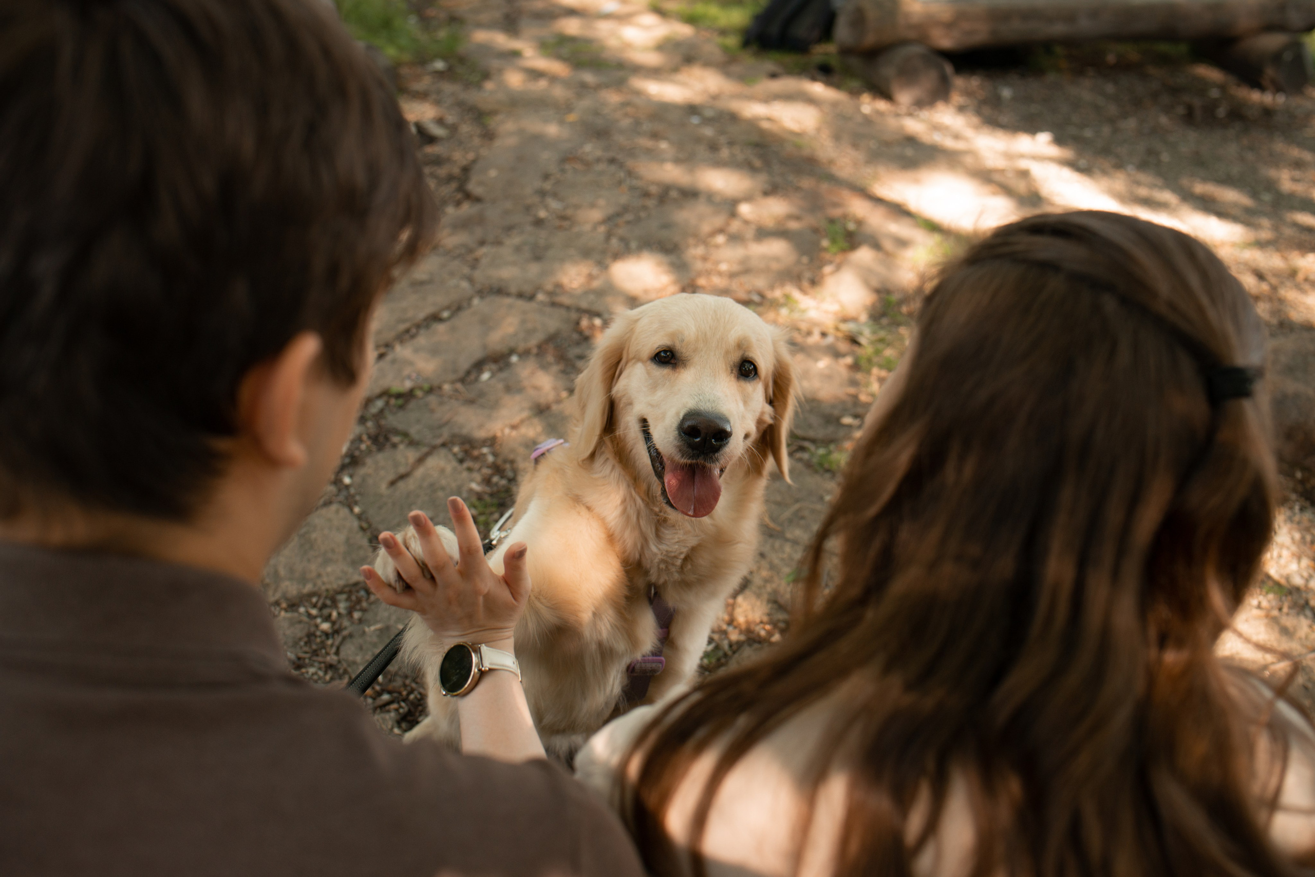 Прогулка Вероники, Артема и Энерджи. Семейный и детский фотограф в Екатеринбурге Наталия Акимова