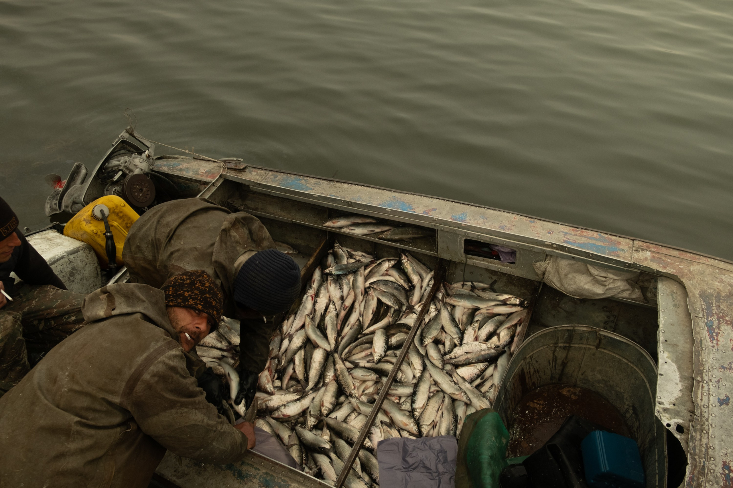 — Sevan (ongoing). Kirillov Egor