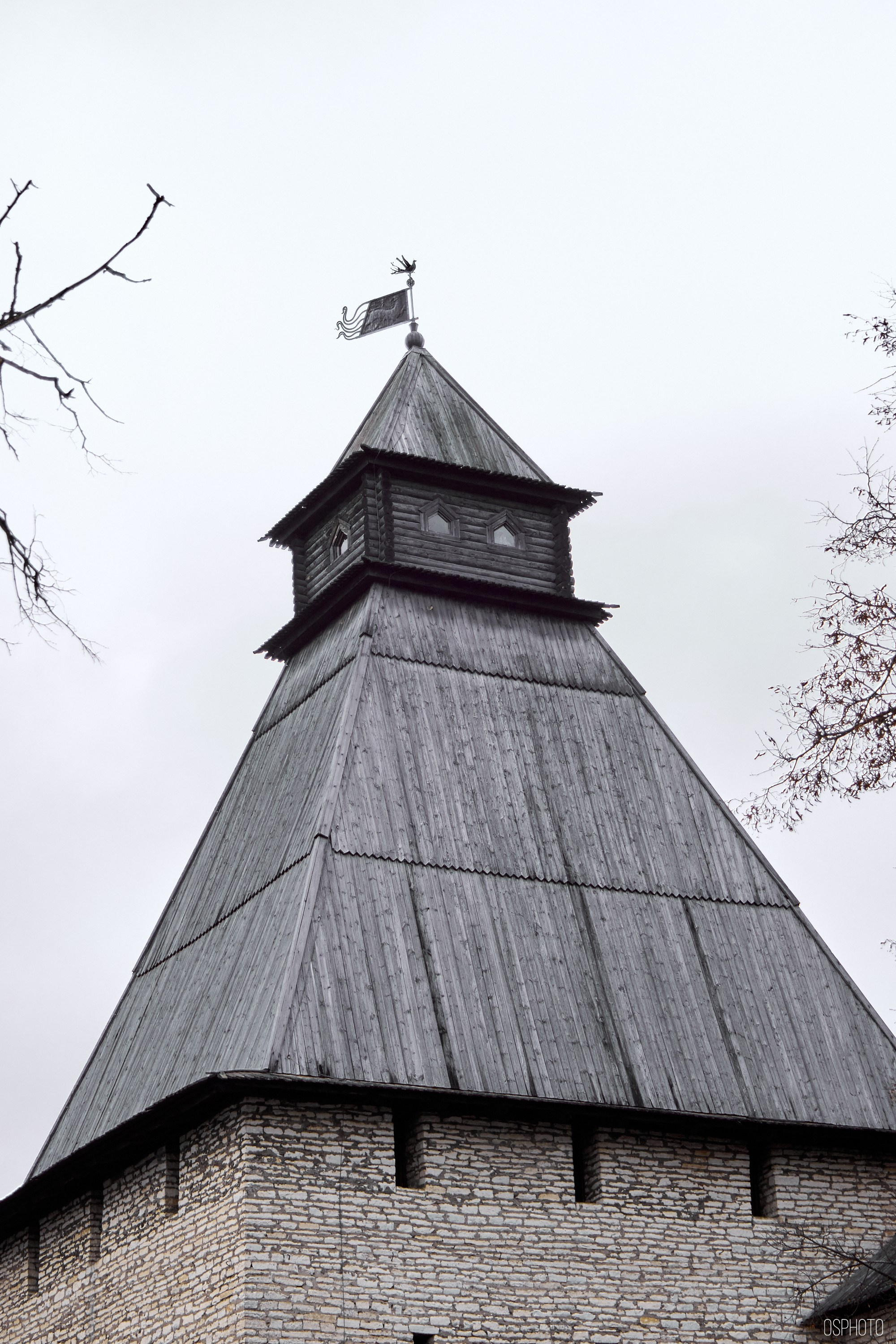 Псков. Ноябрь. Фотографъ Сергѣевъ. Поймать мгновеніе